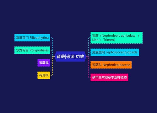 肾蕨|来源|功效