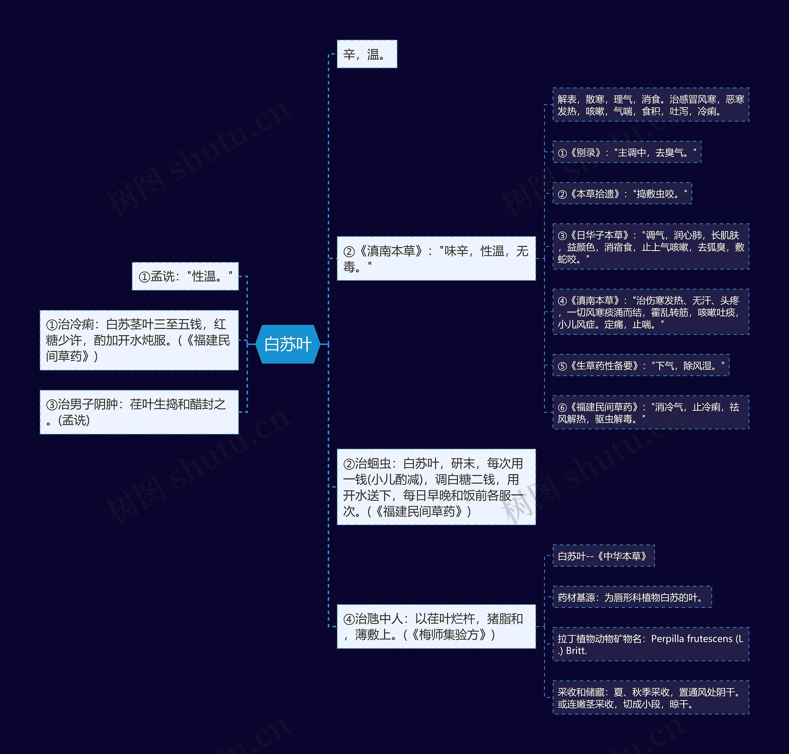 白苏叶思维导图