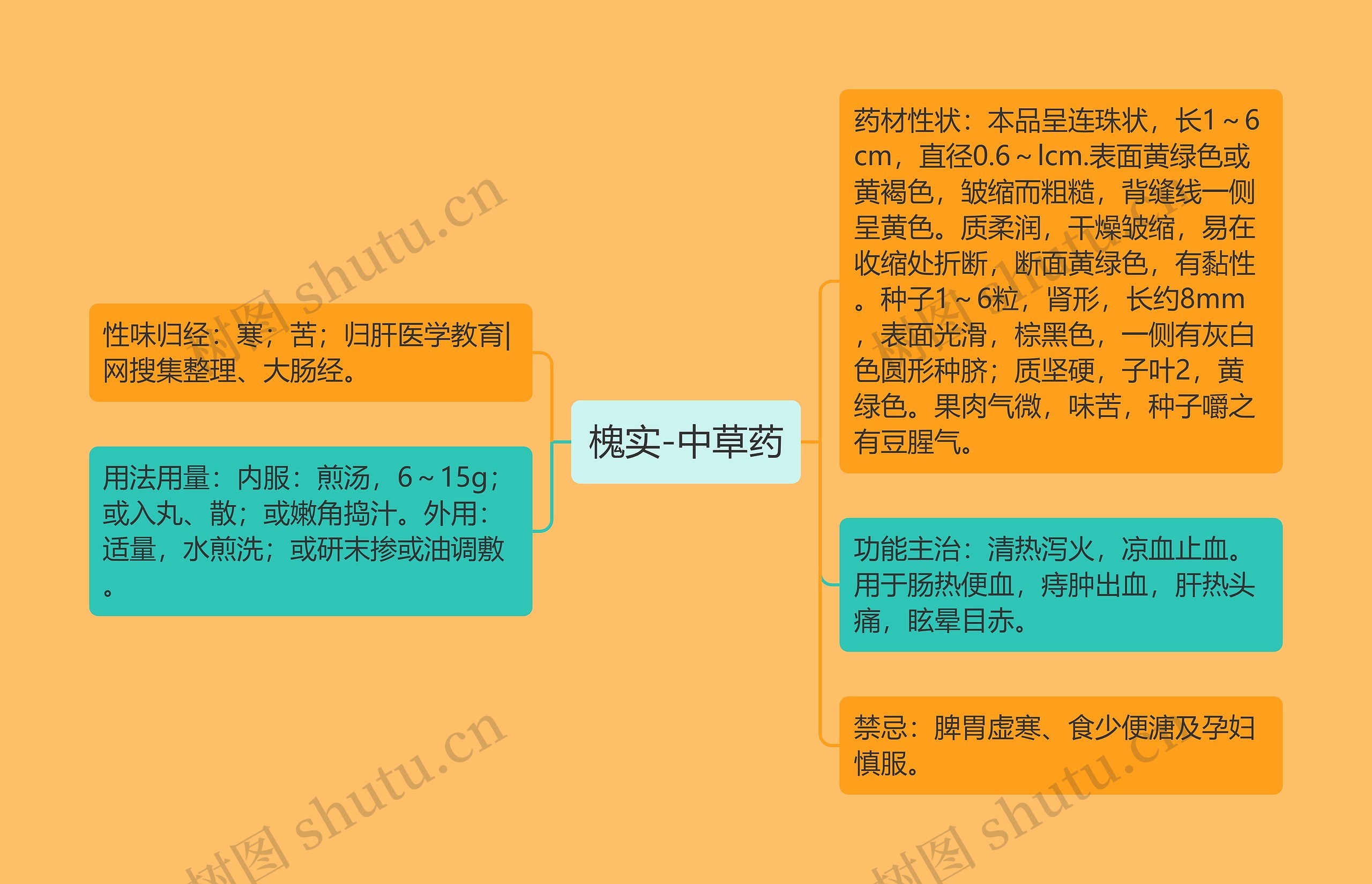 槐实-中草药 槐实-中草药