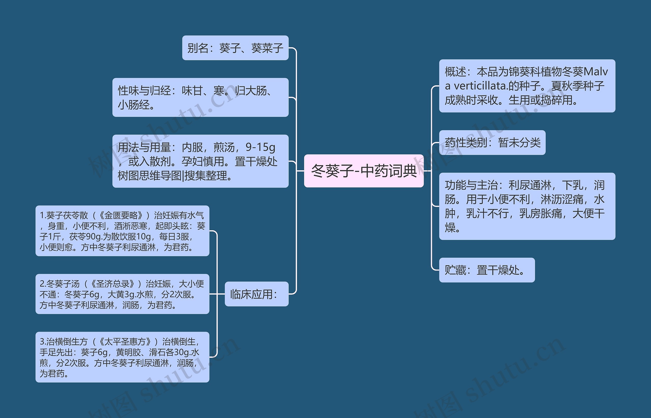 冬葵子-中药词典思维导图