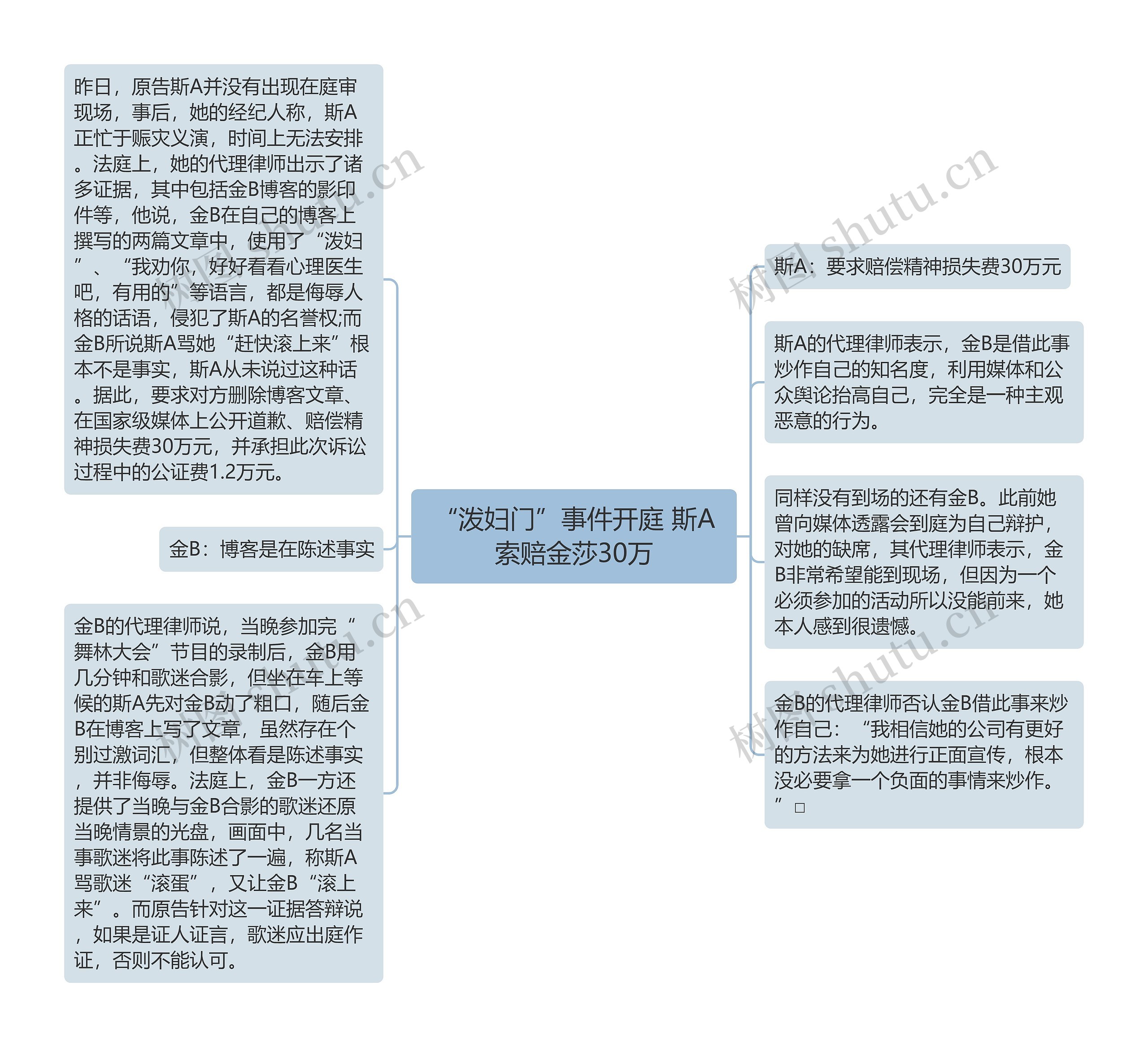 “泼妇门”事件开庭 斯A索赔金莎30万思维导图