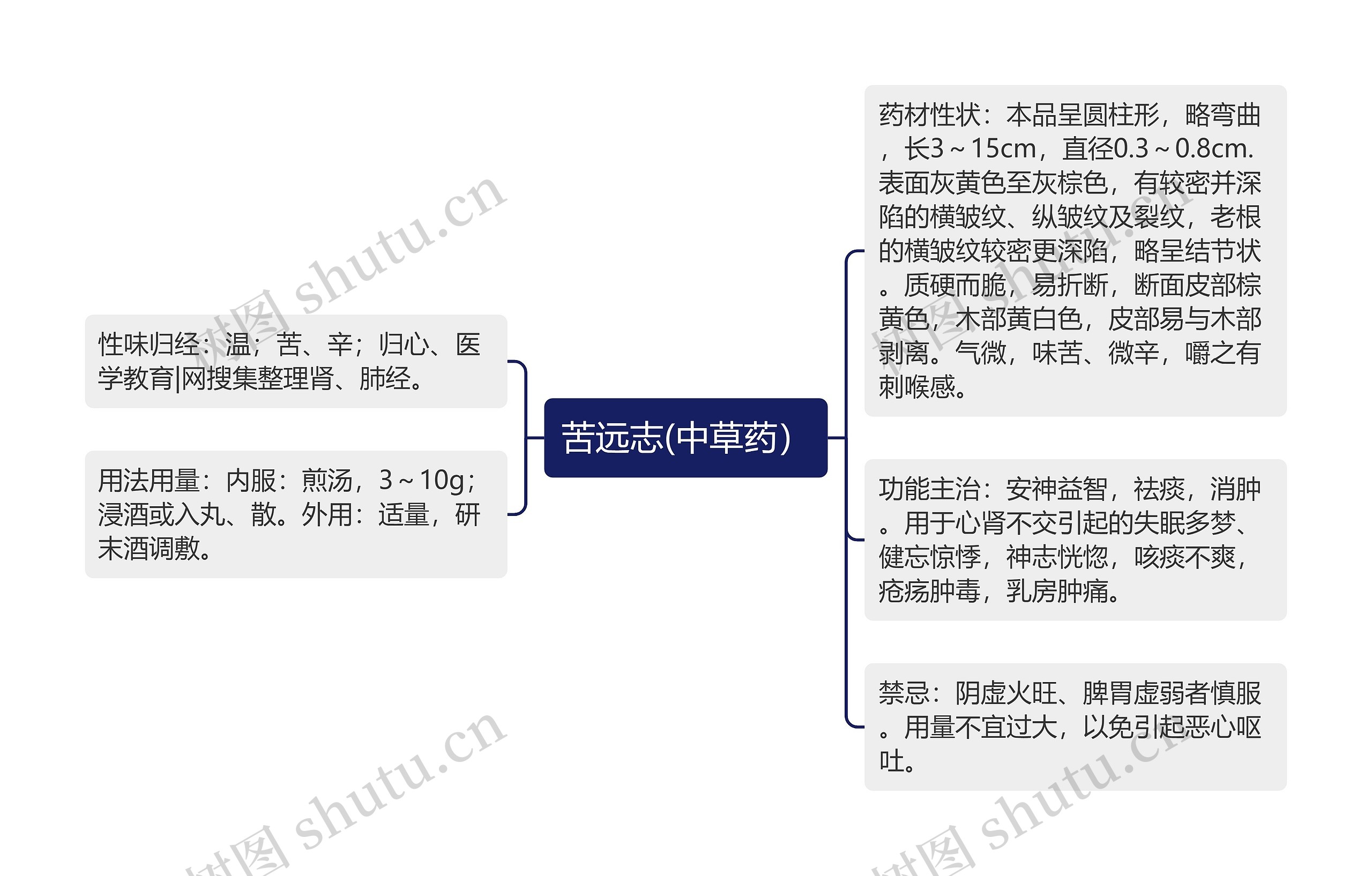 苦远志(中草药）