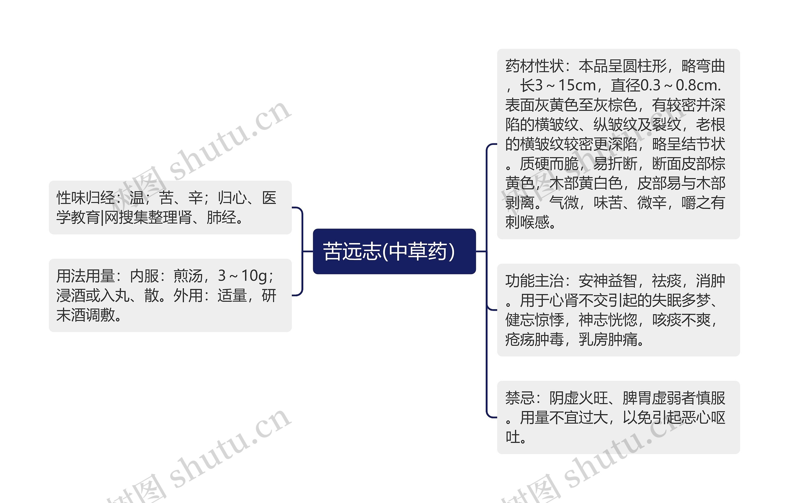 苦远志(中草药）思维导图