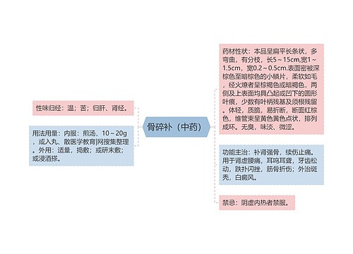 骨碎补（中药）