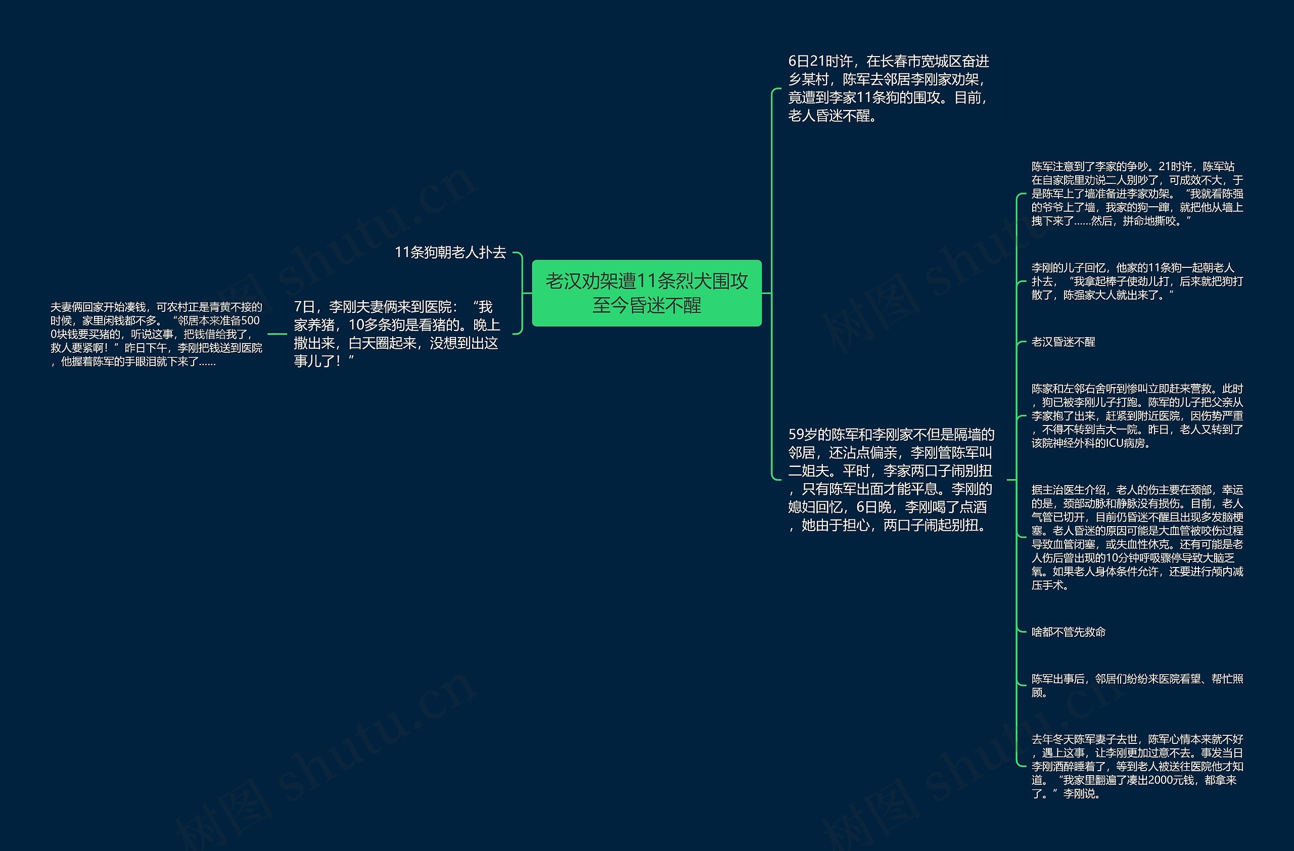 老汉劝架遭11条烈犬围攻至今昏迷不醒思维导图