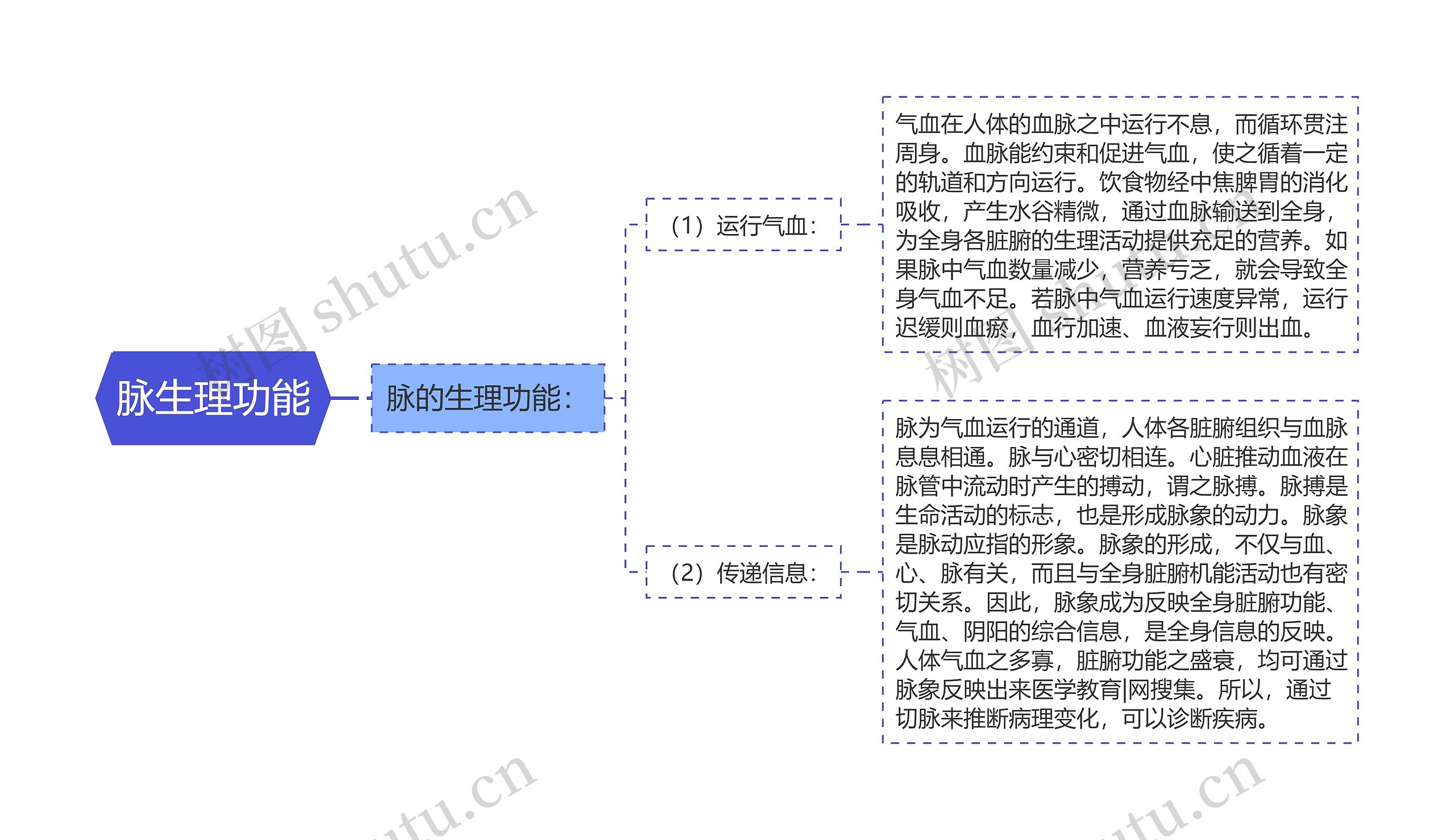 脉生理功能 脉生理功能