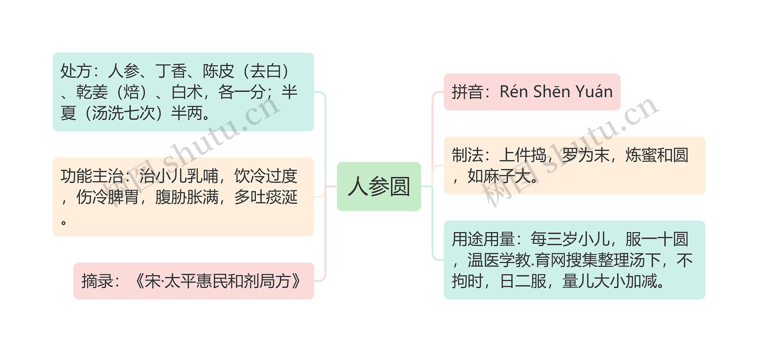 人参圆思维导图