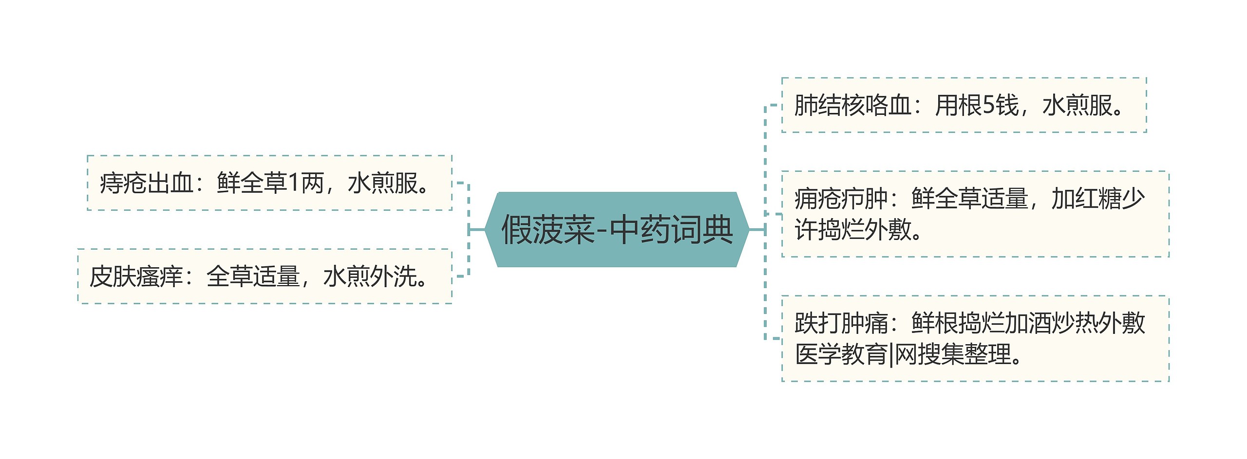 假菠菜-中药词典思维导图