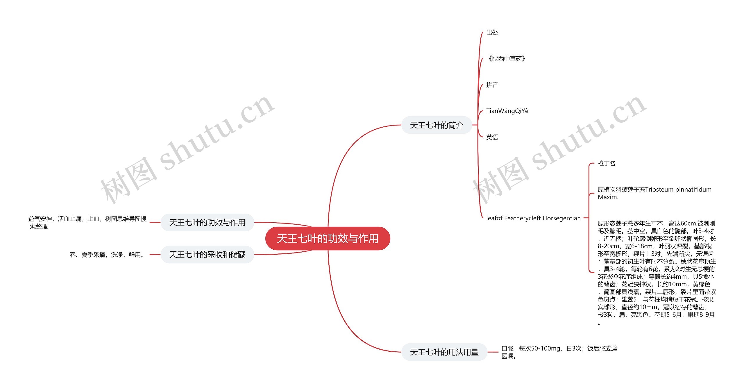 天王七叶的功效与作用 天王七叶的功效与作用