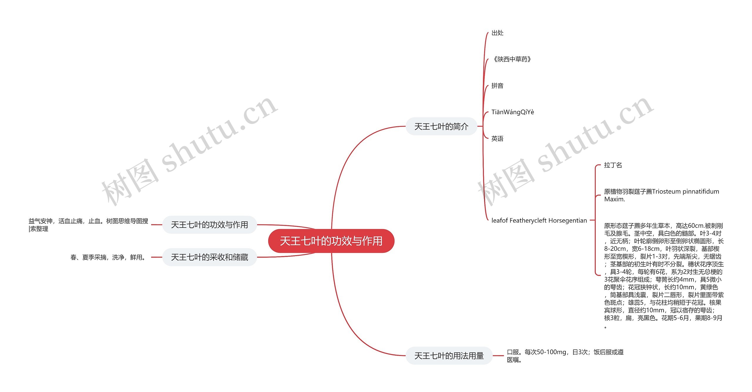 天王七叶的功效与作用