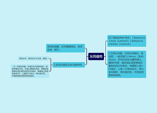 东风螺壳