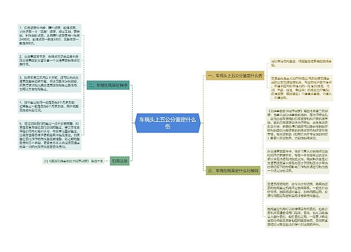 车祸头上五公分鉴定什么伤