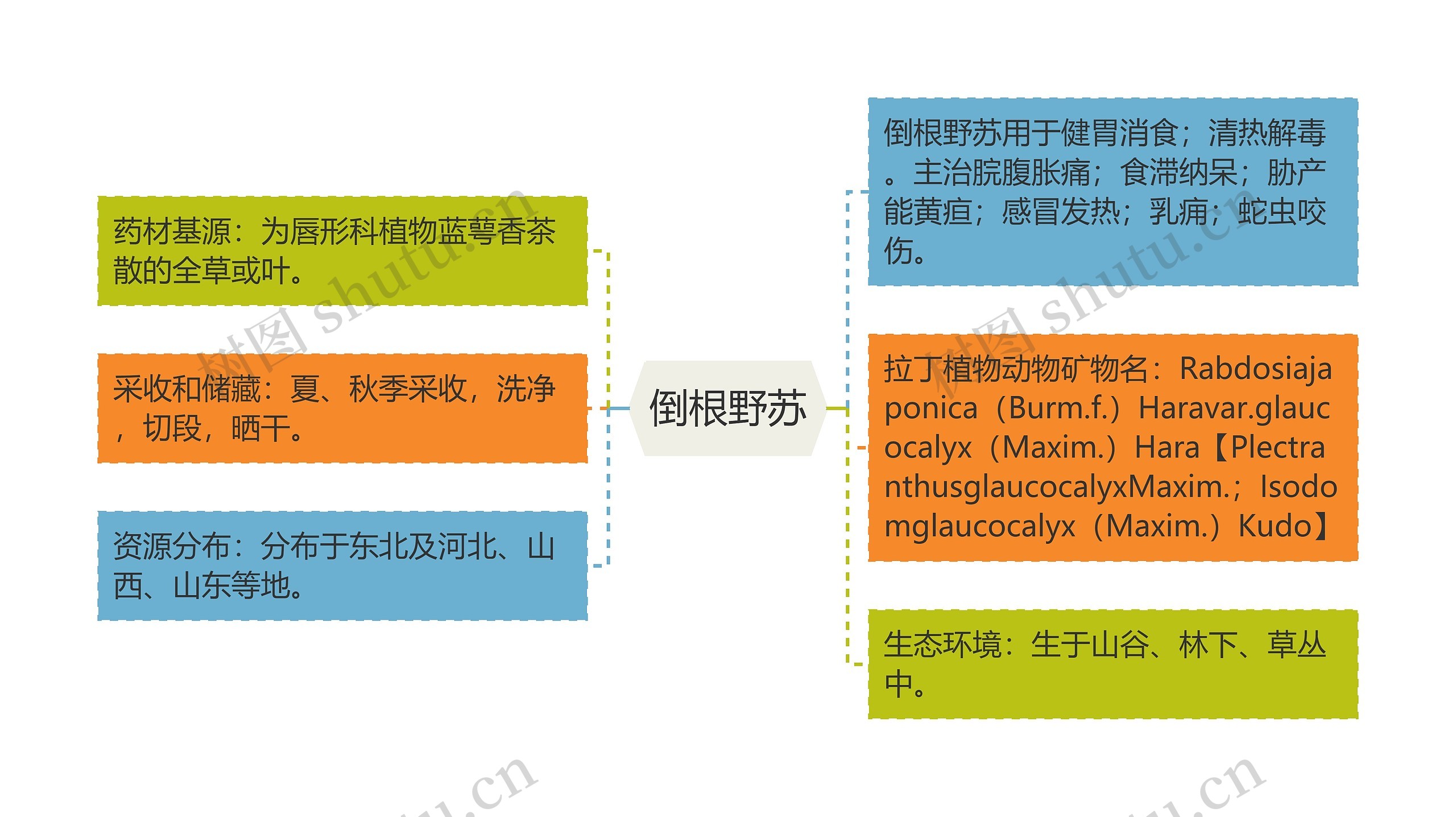 倒根野苏思维导图