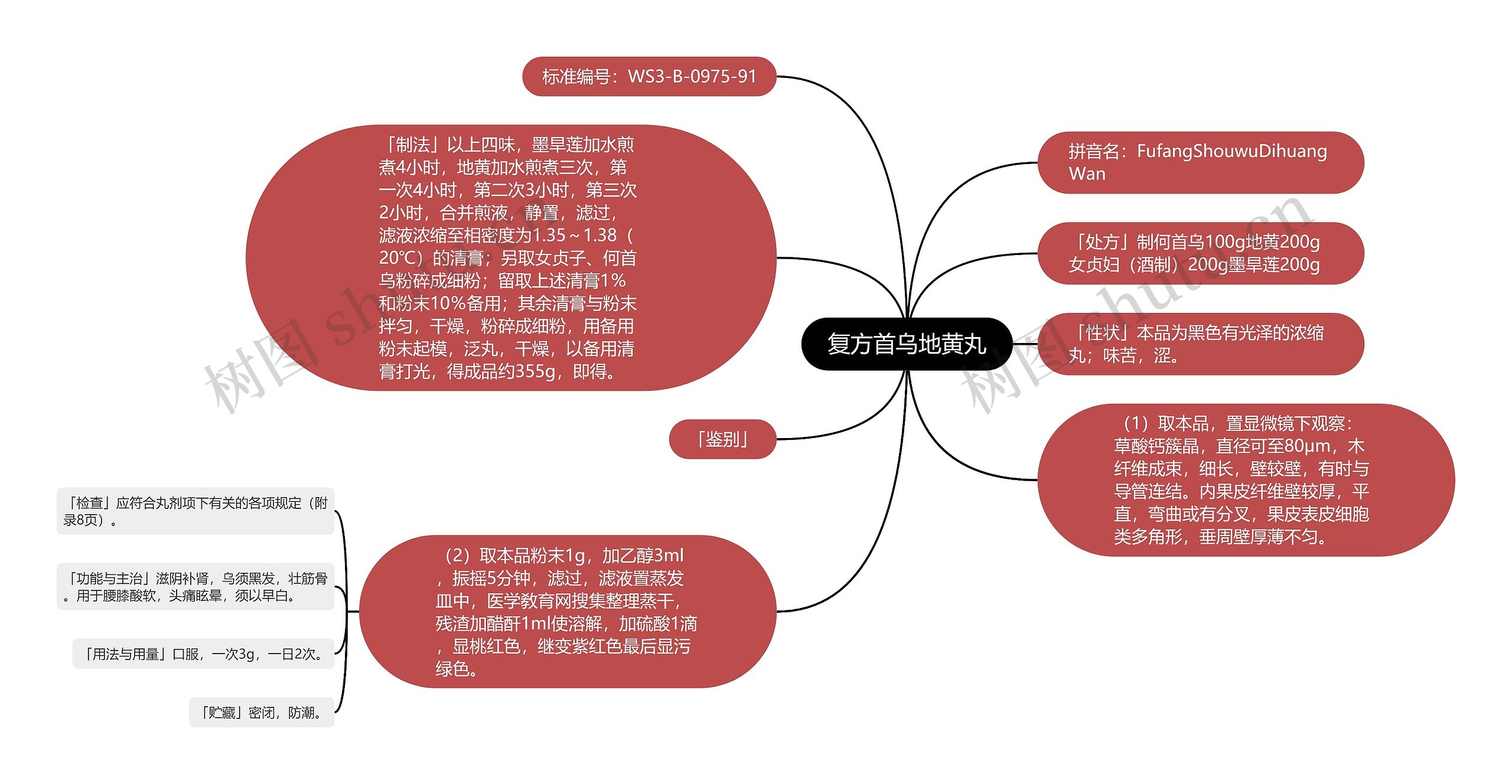 复方首乌地黄丸思维导图