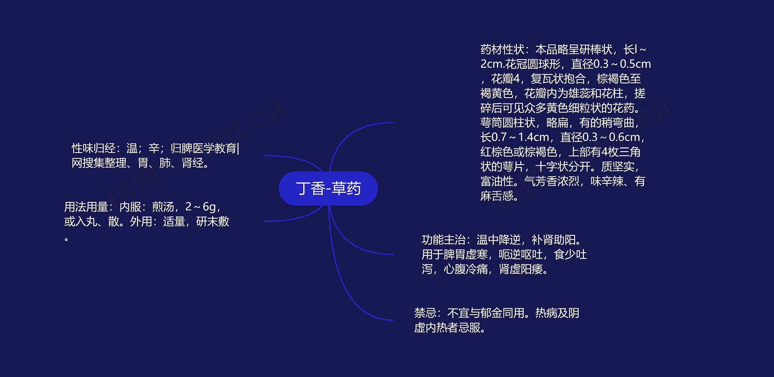 丁香-草药