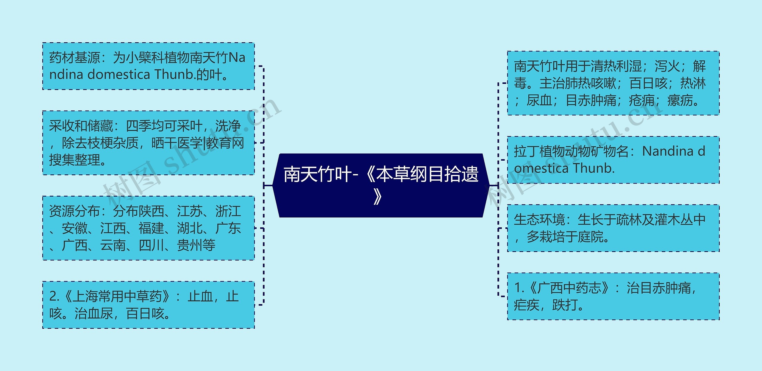 南天竹叶-《本草纲目拾遗》思维导图