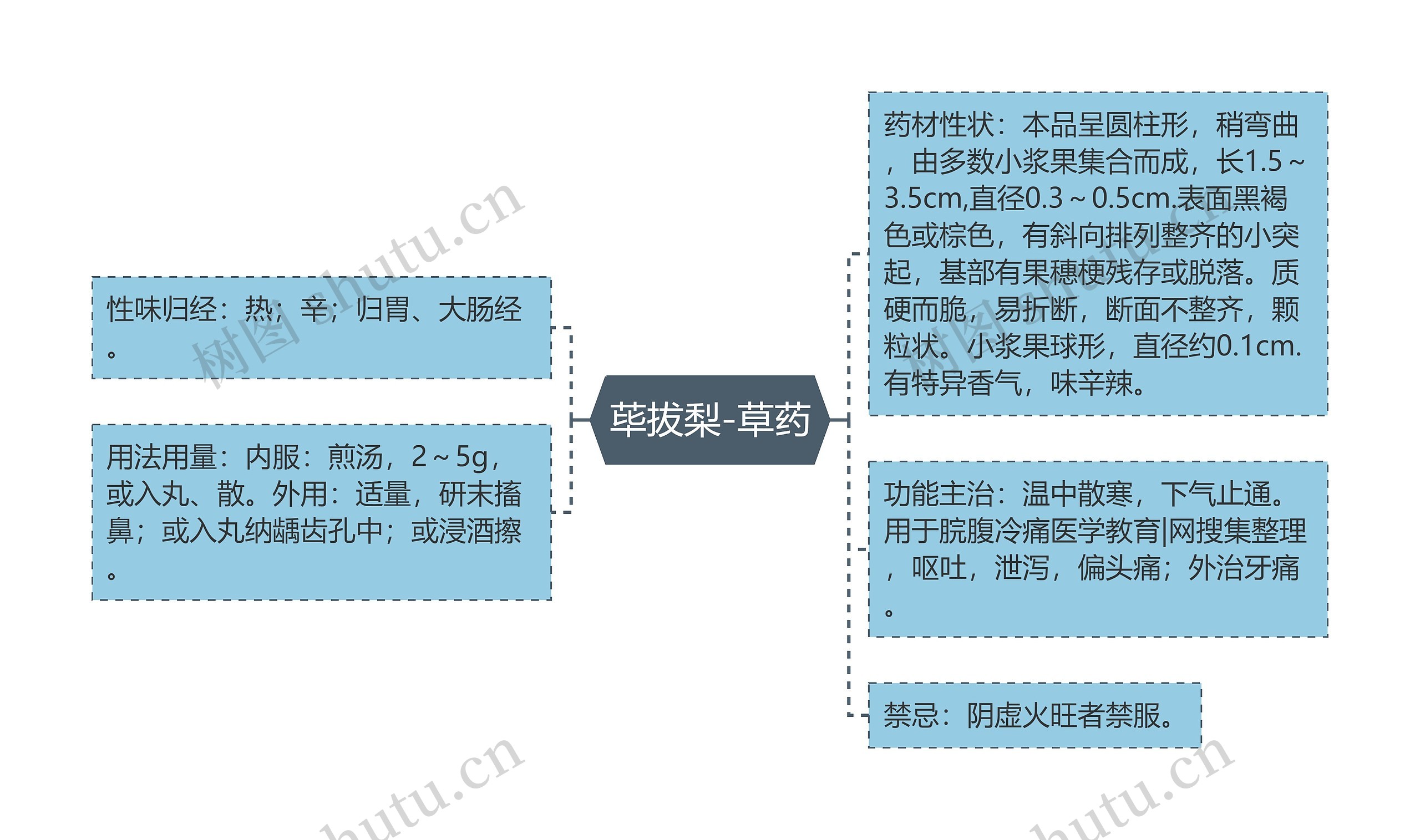 荜拔梨-草药思维导图