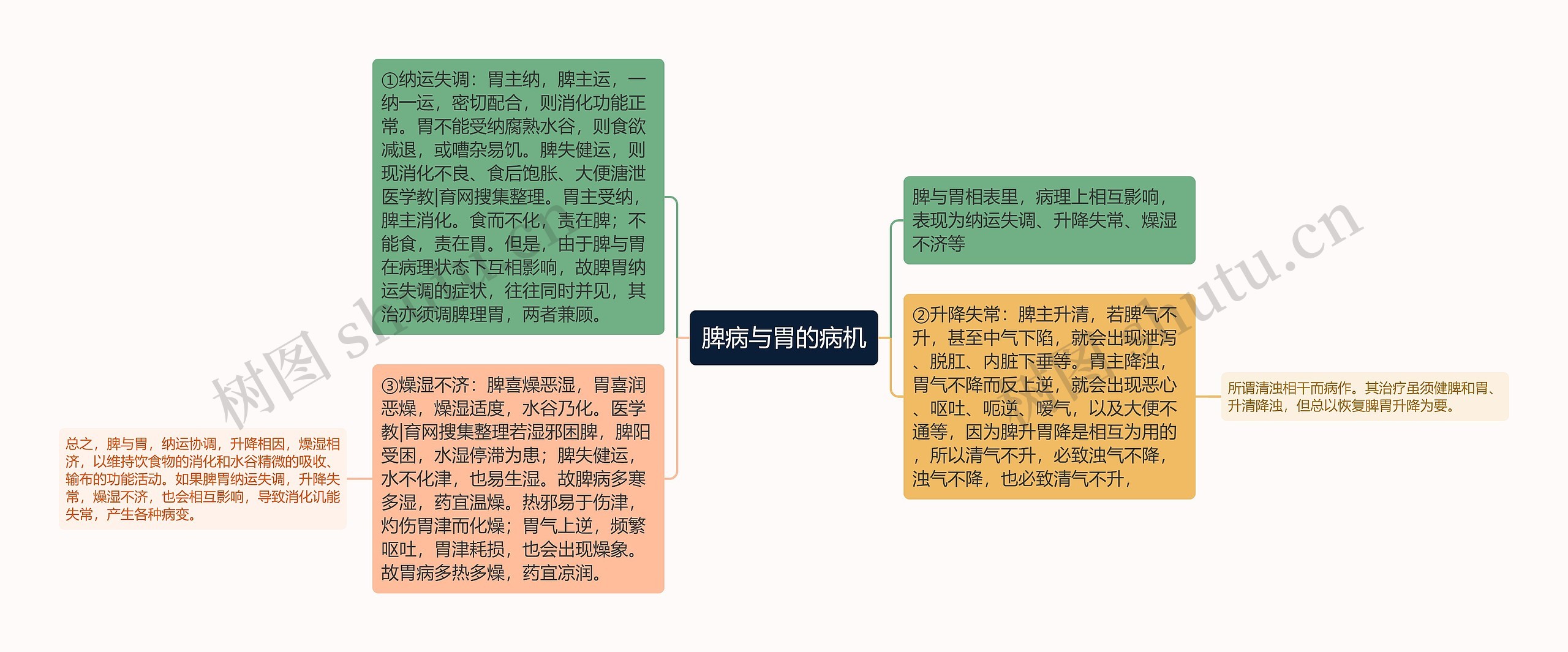 脾病与胃的病机思维导图