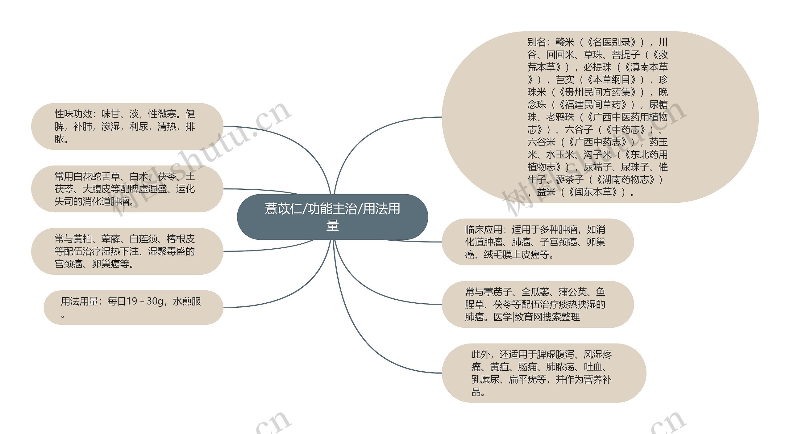 薏苡仁/功能主治/用法用量