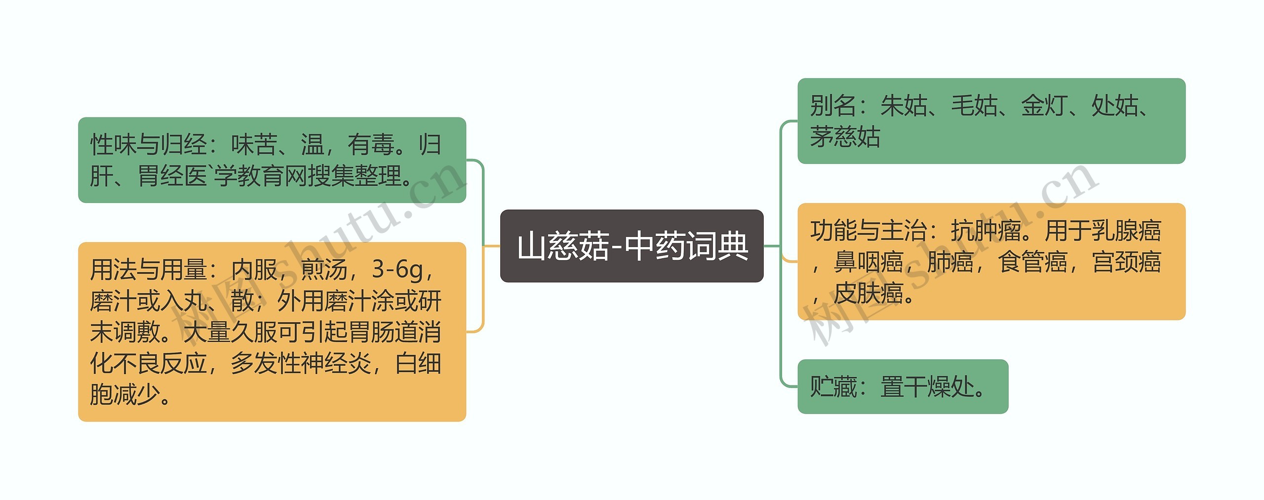 山慈菇-中药词典 山慈菇-中药词典