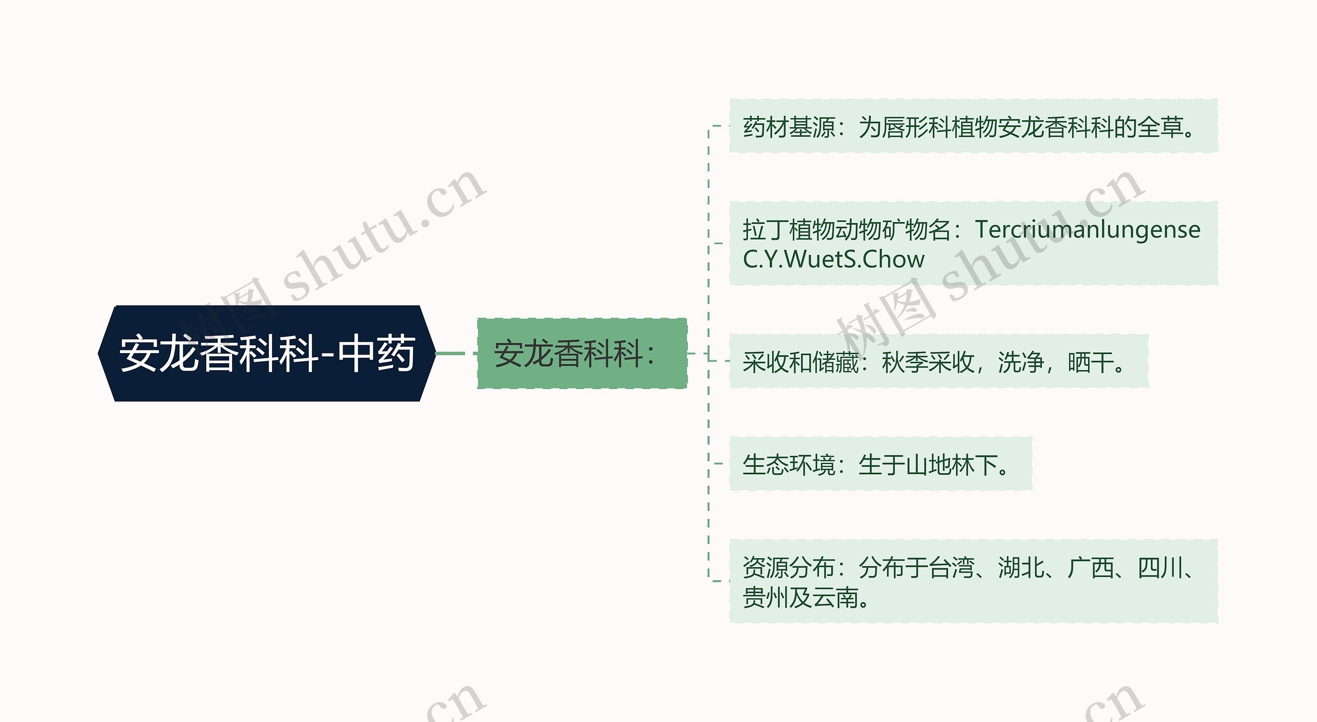 安龙香科科-中药 安龙香科科-中药