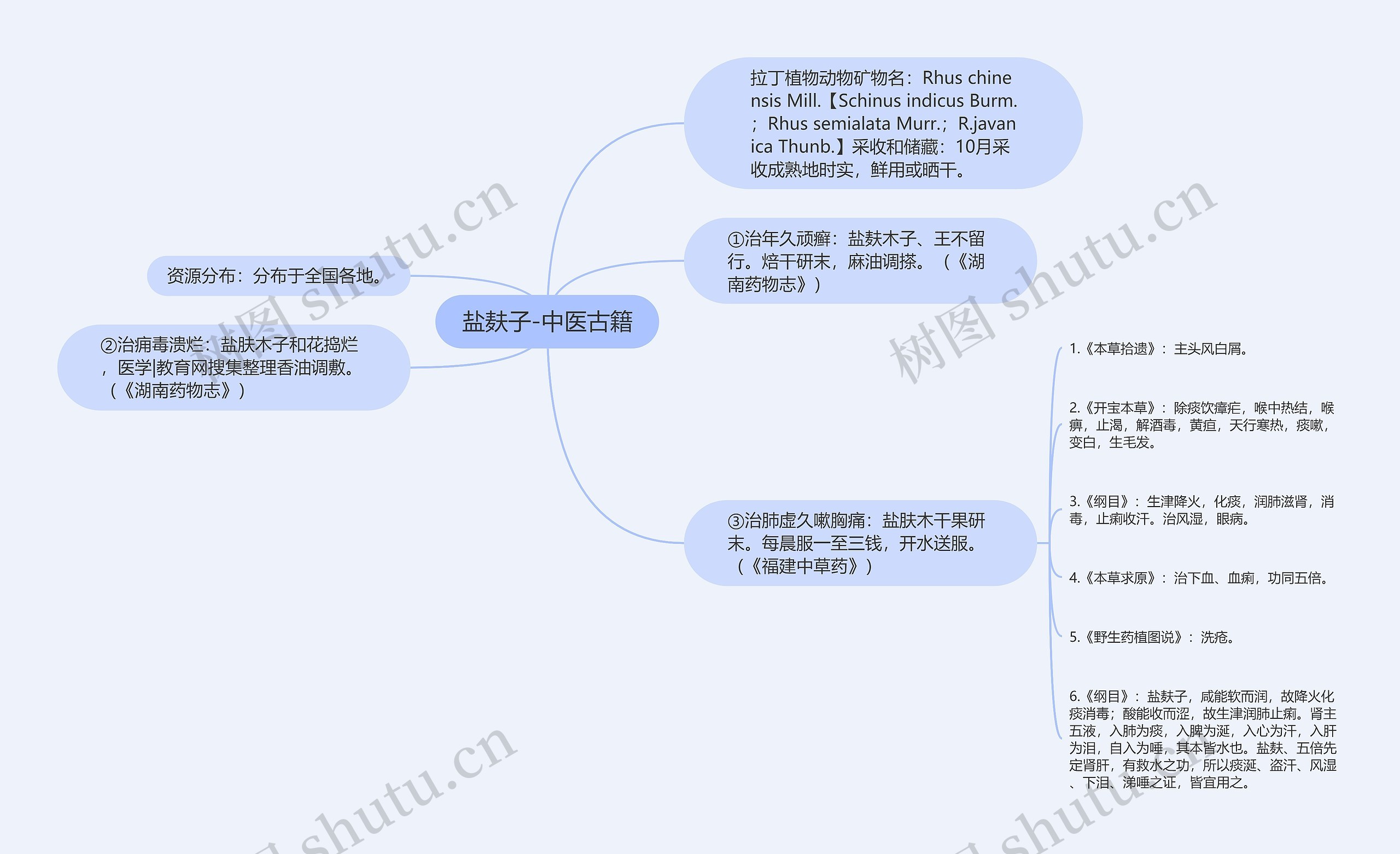 盐麸子-中医古籍思维导图