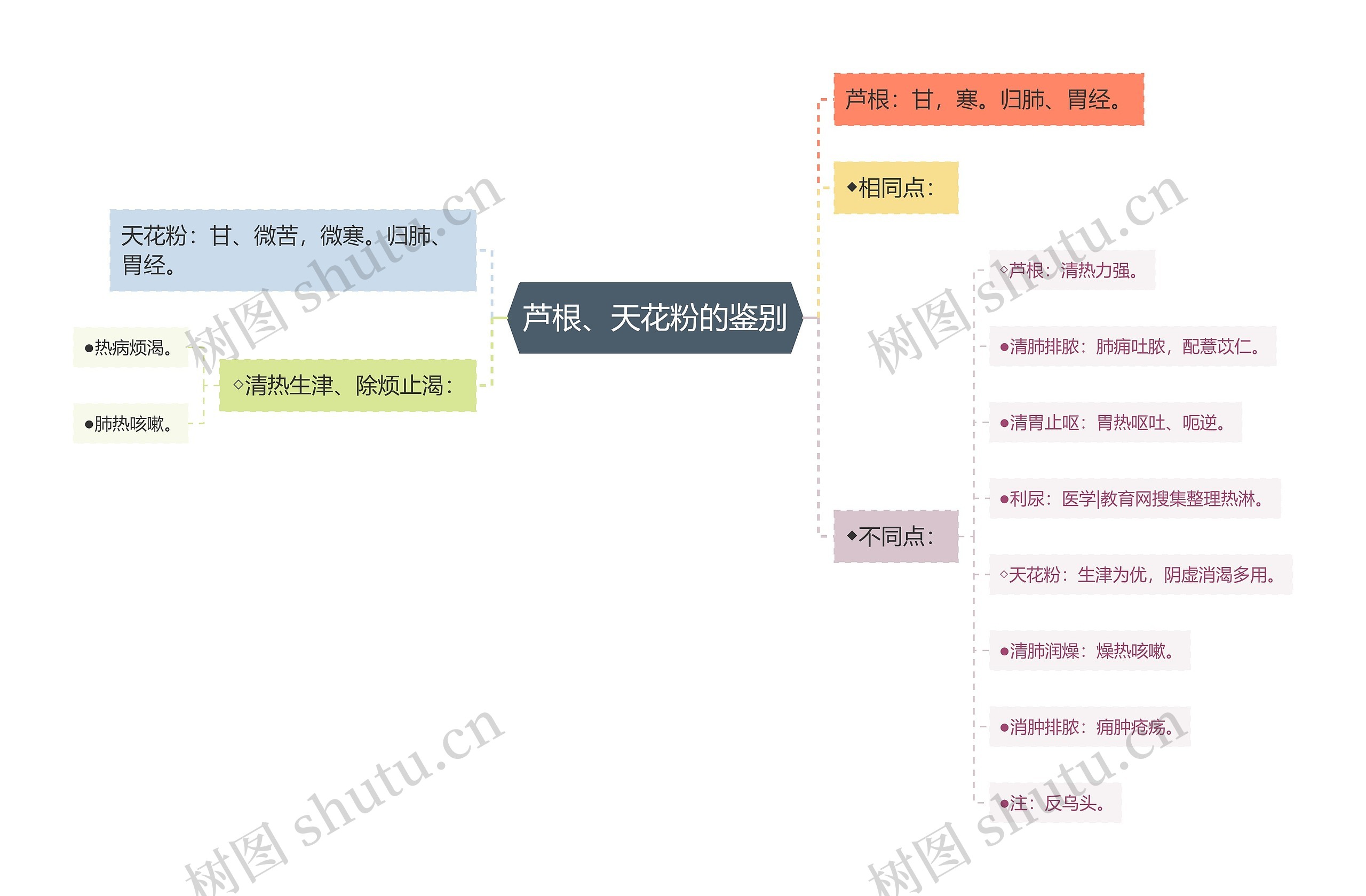 芦根、天花粉的鉴别思维导图