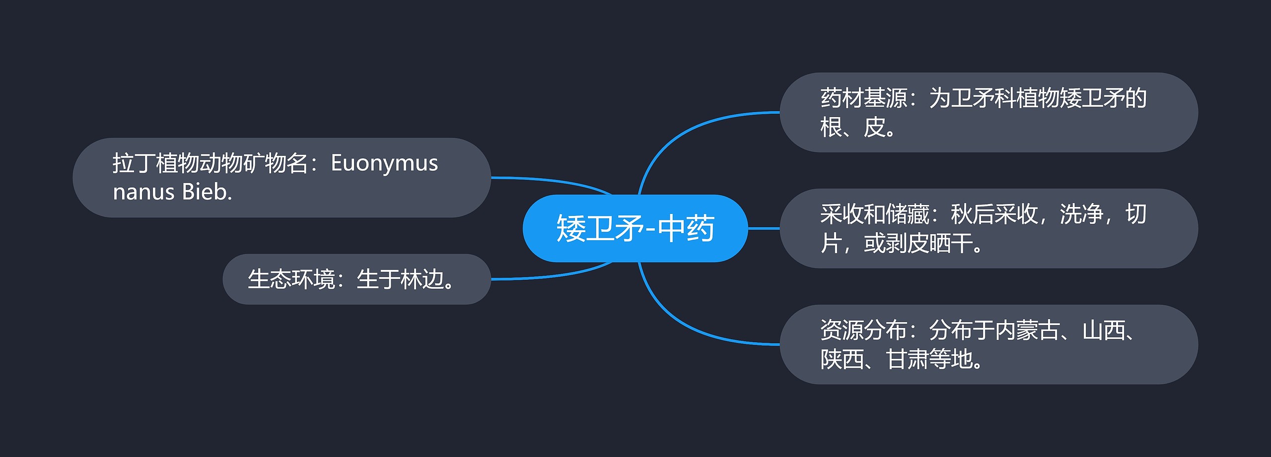 矮卫矛-中药思维导图