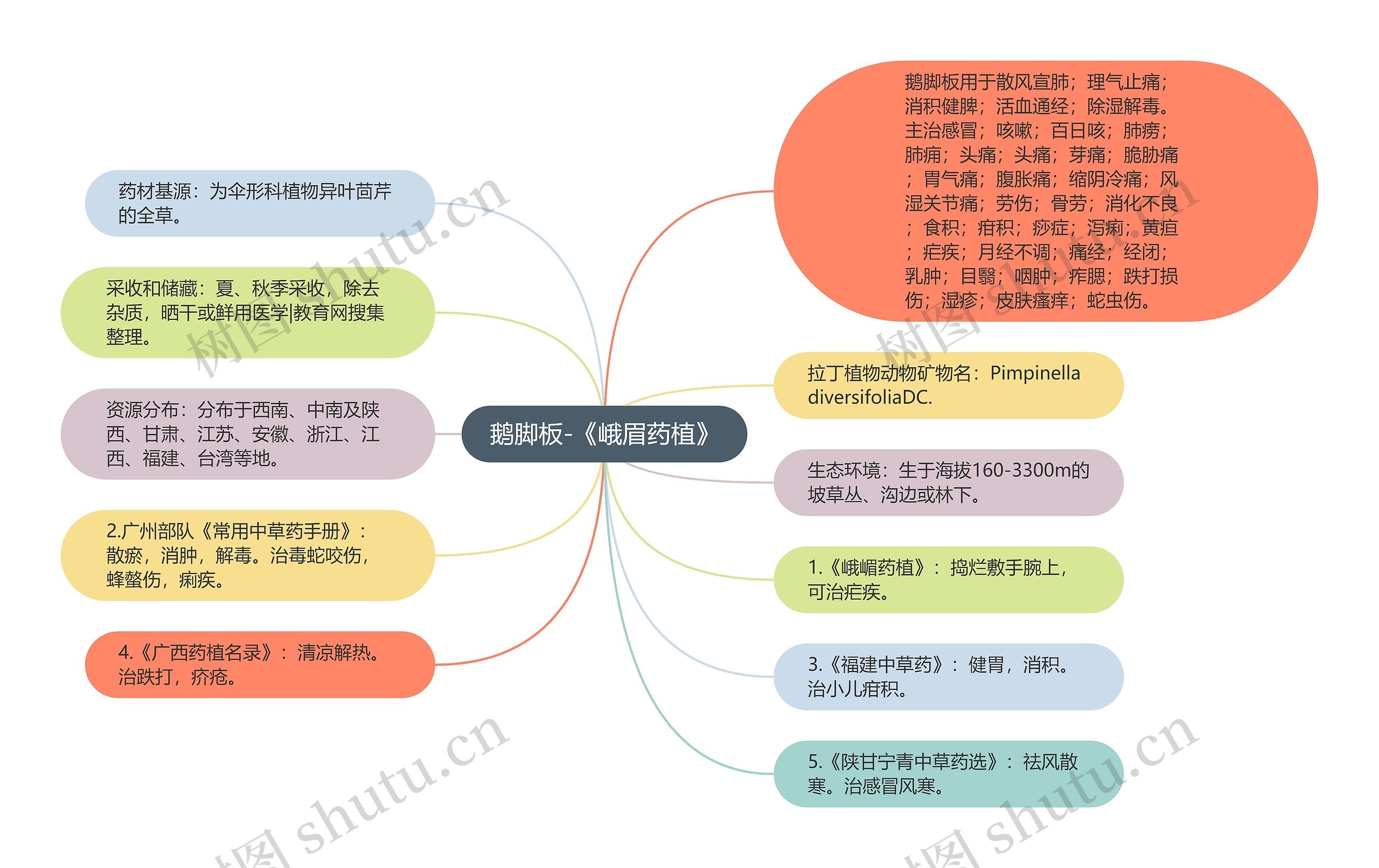 鹅脚板-《峨眉药植》 鹅脚板-《峨眉药植》