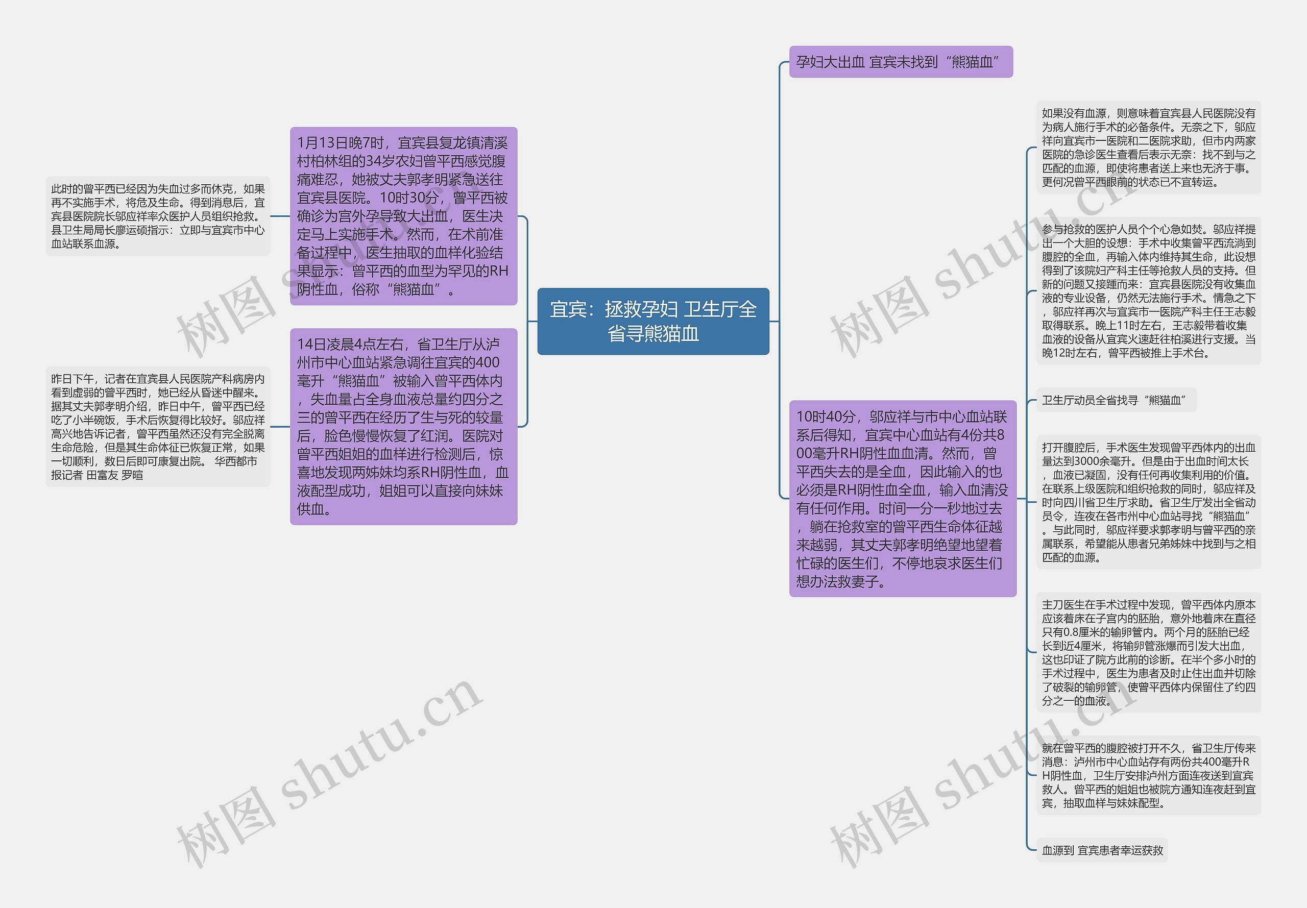 宜宾：拯救孕妇 卫生厅全省寻熊猫血思维导图