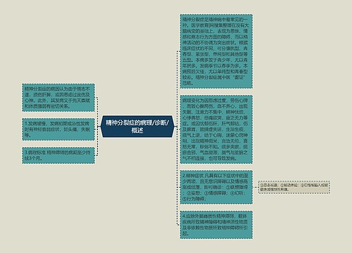 精神分裂症的病理/诊断/概述