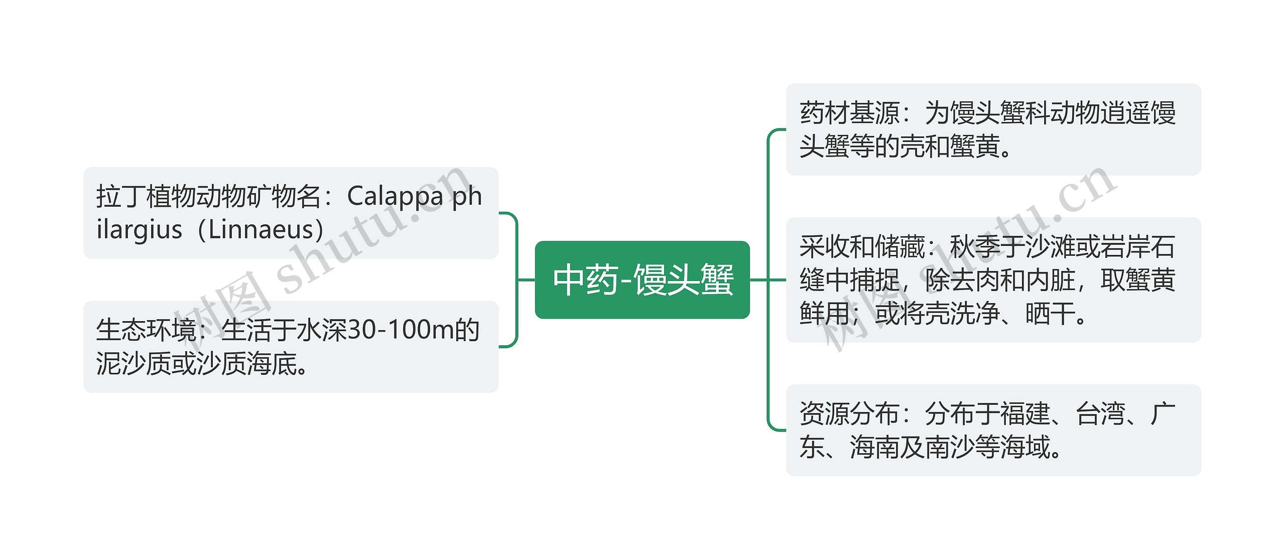 中药-馒头蟹思维导图