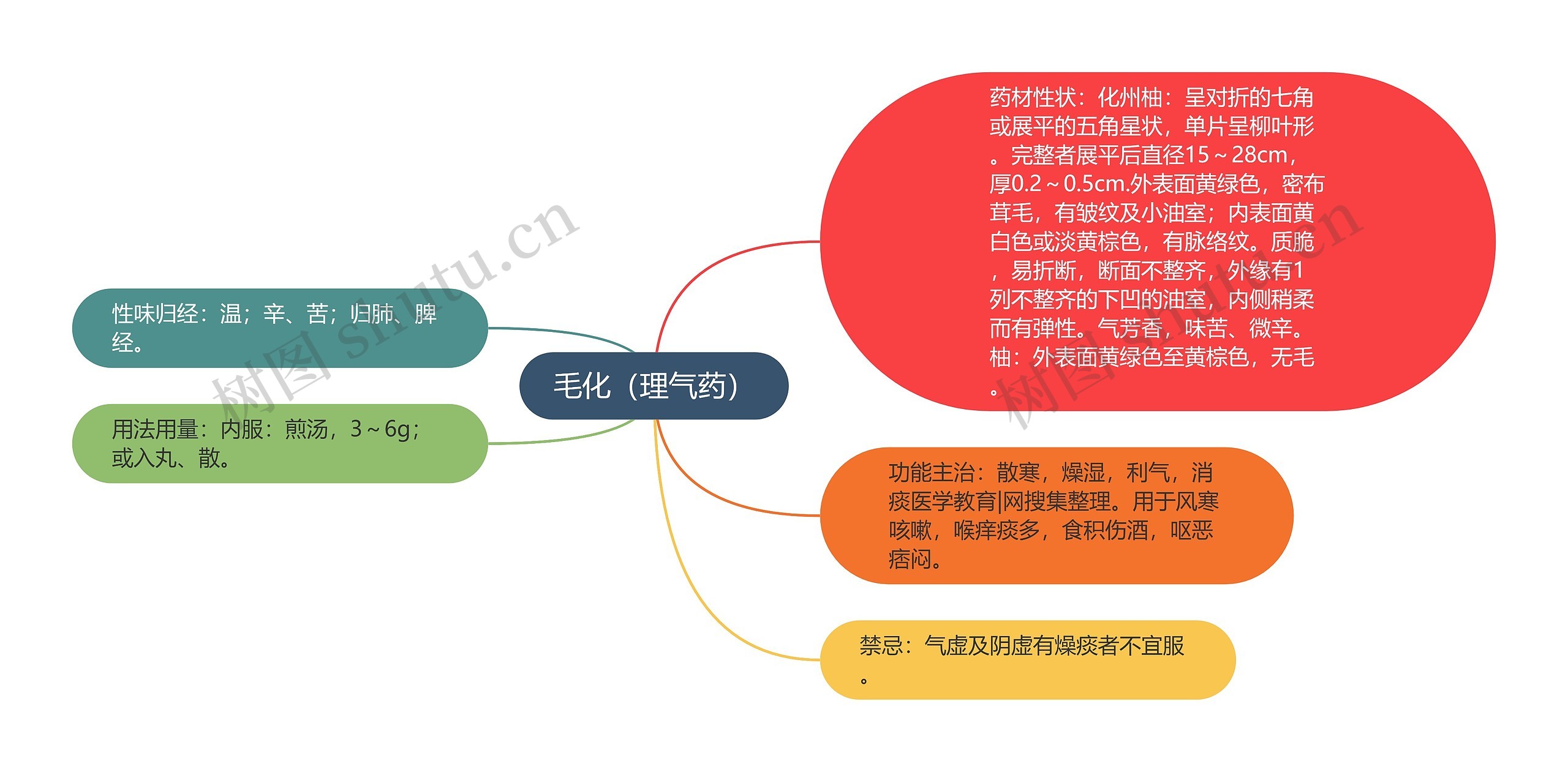 毛化（理气药）思维导图