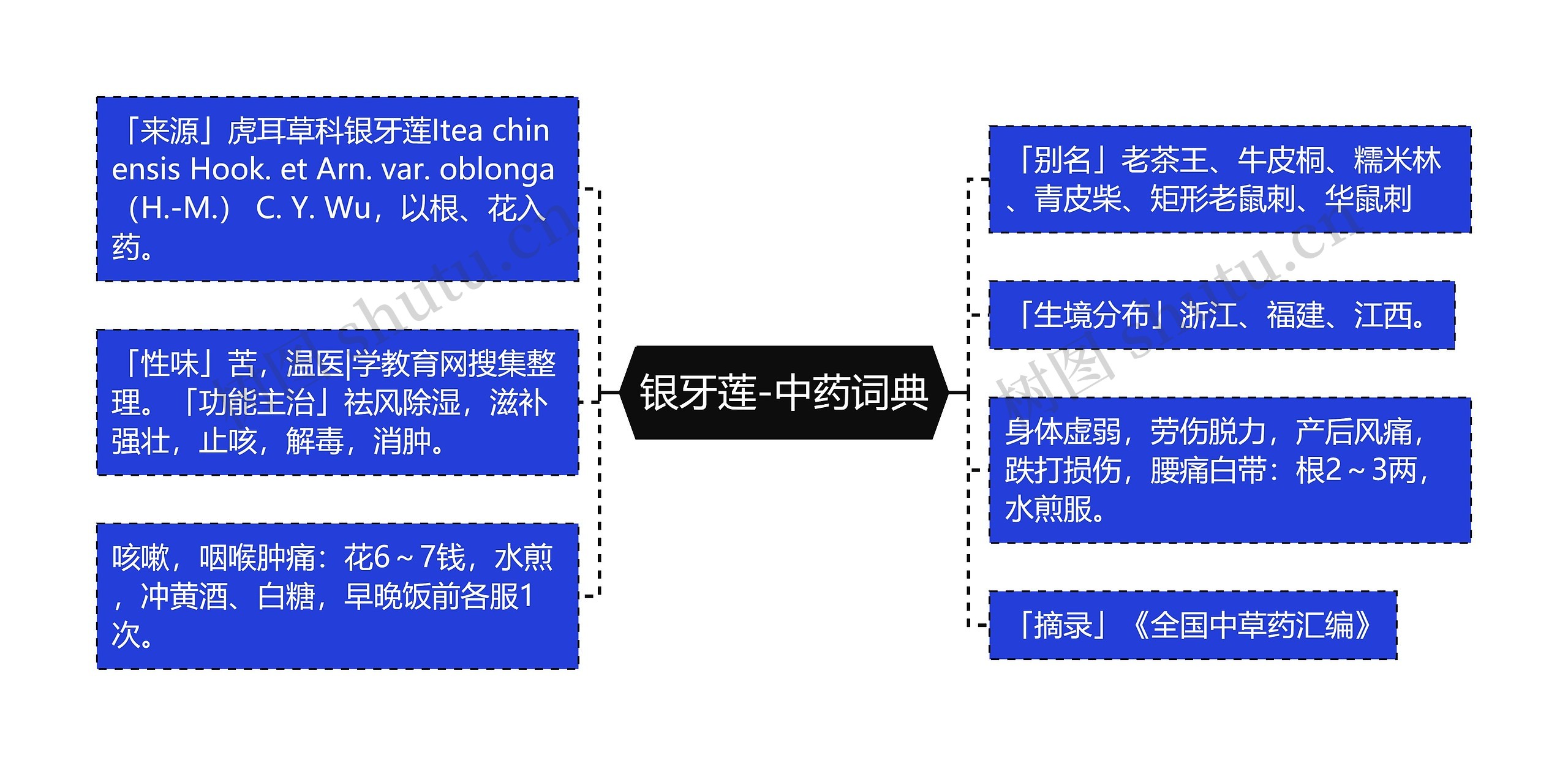 银牙莲-中药词典