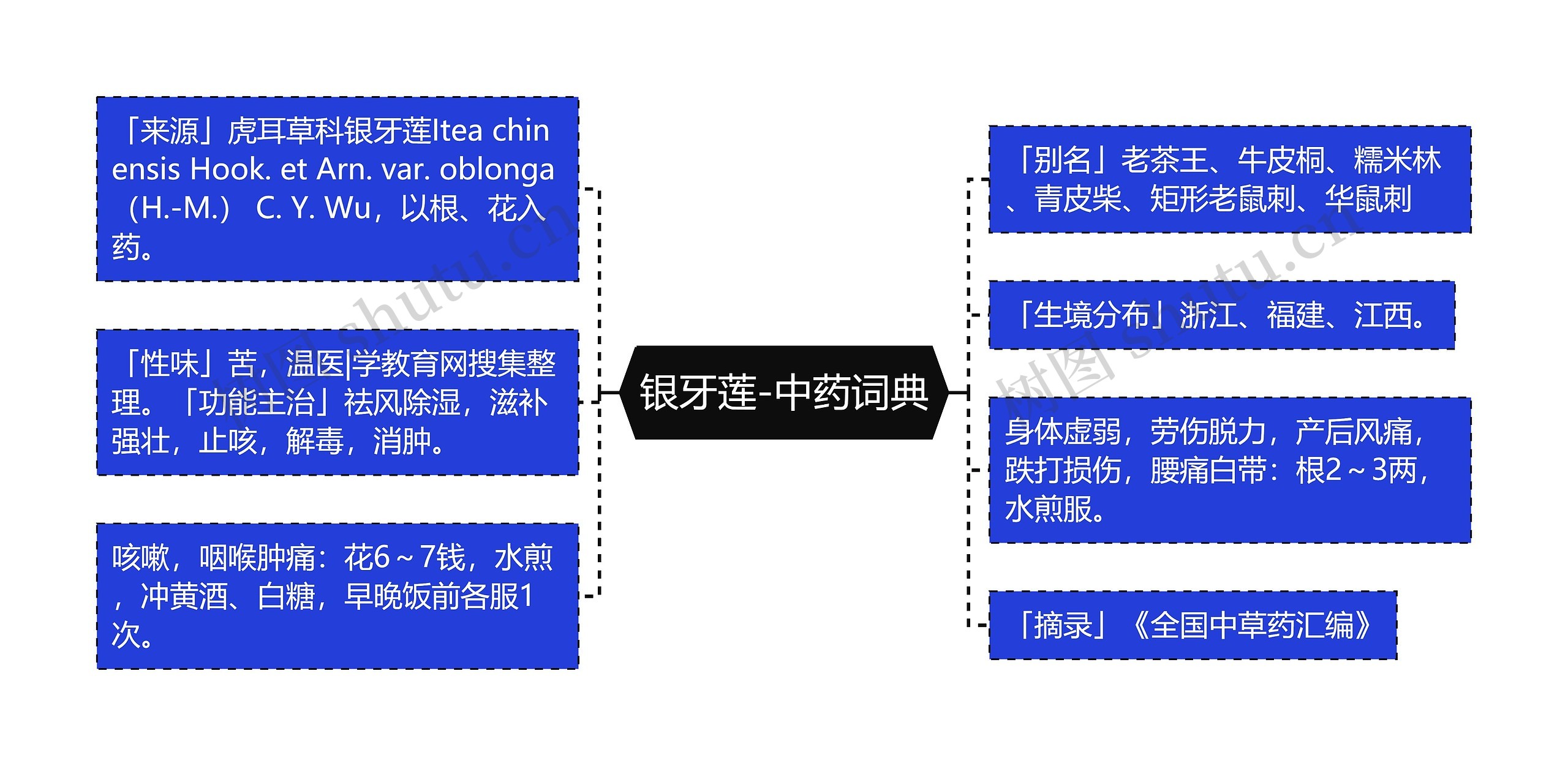 银牙莲-中药词典思维导图