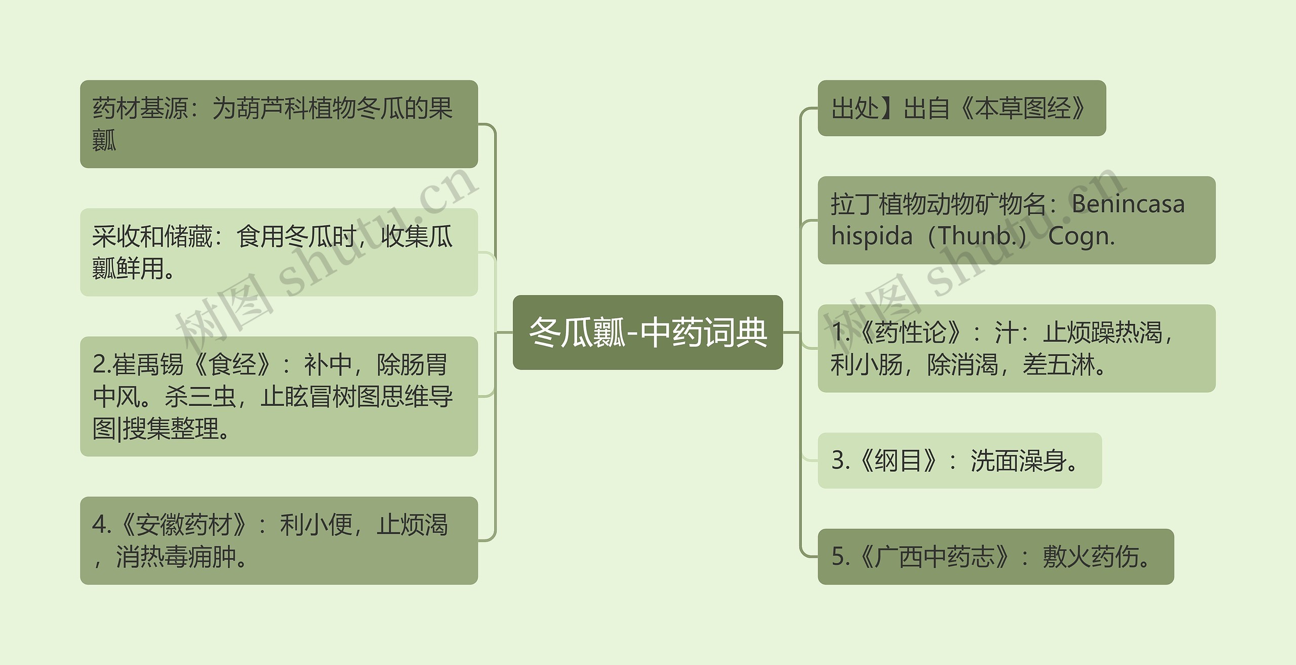 冬瓜瓤-中药词典思维导图