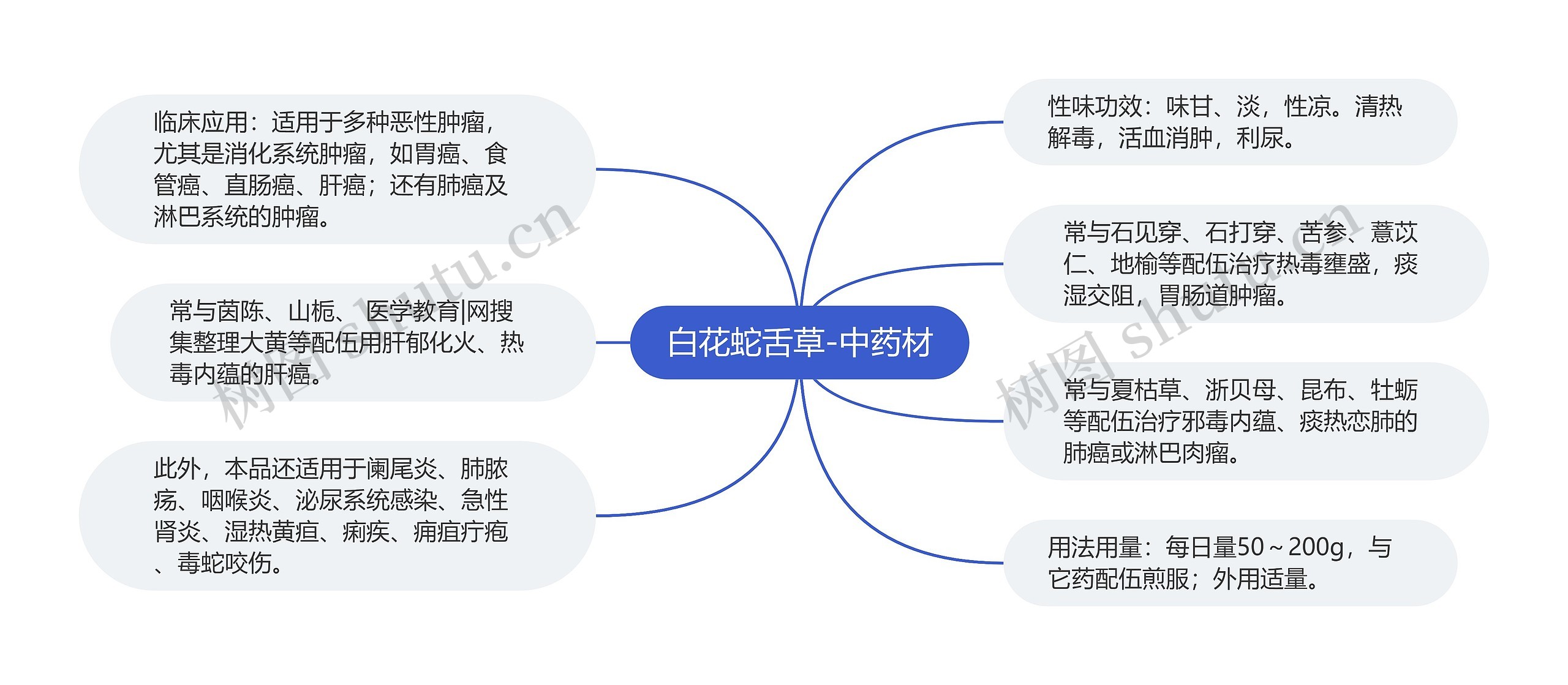 白花蛇舌草-中药材思维导图