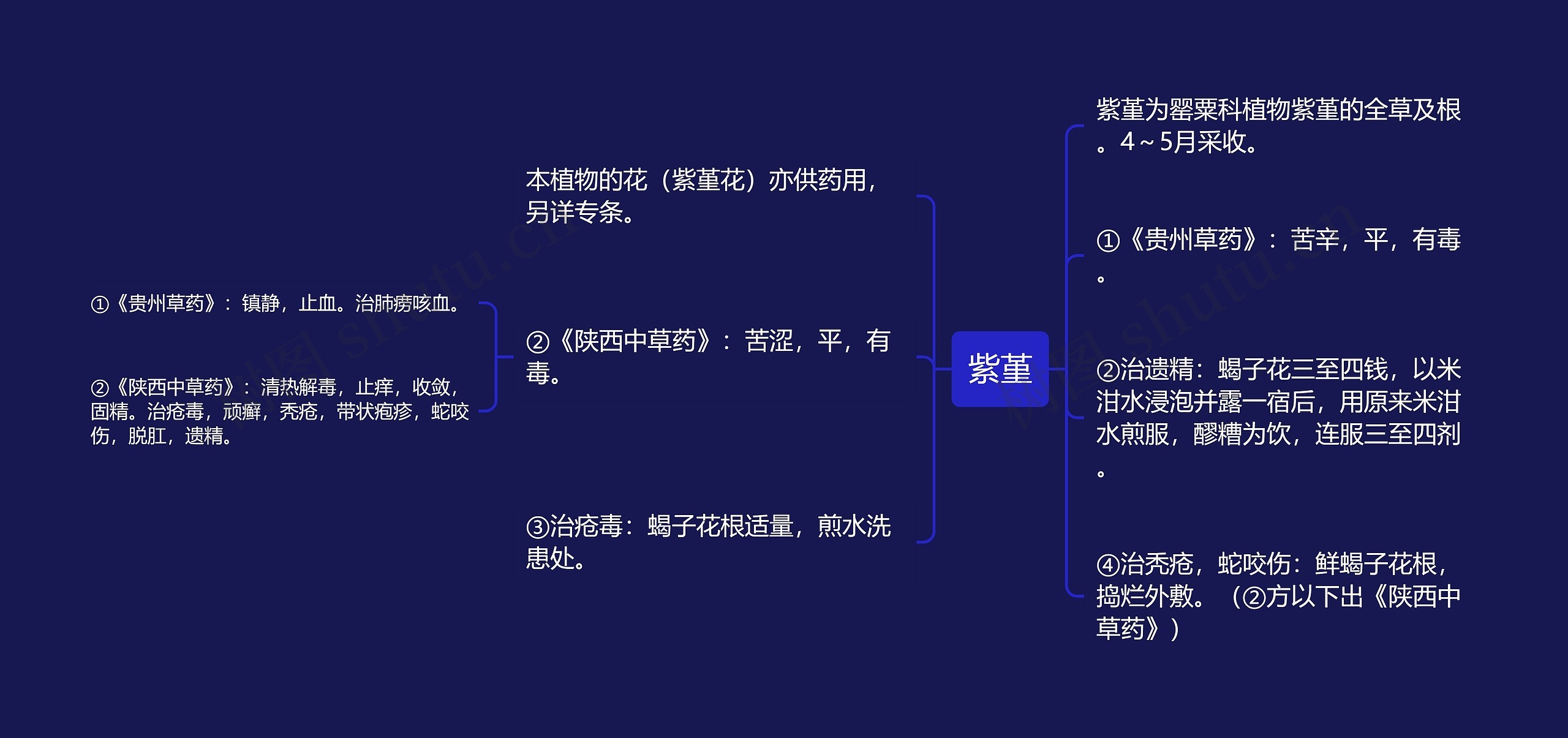 紫堇思维导图