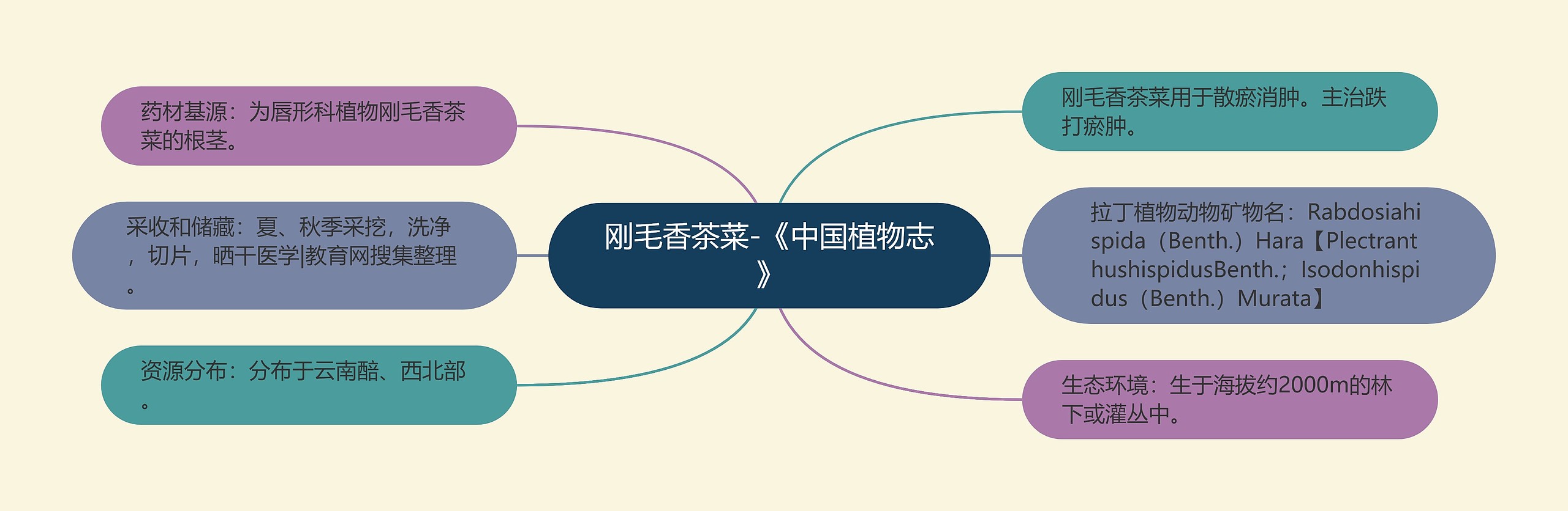 刚毛香茶菜-《中国植物志》 刚毛香茶菜-《中国植物志》