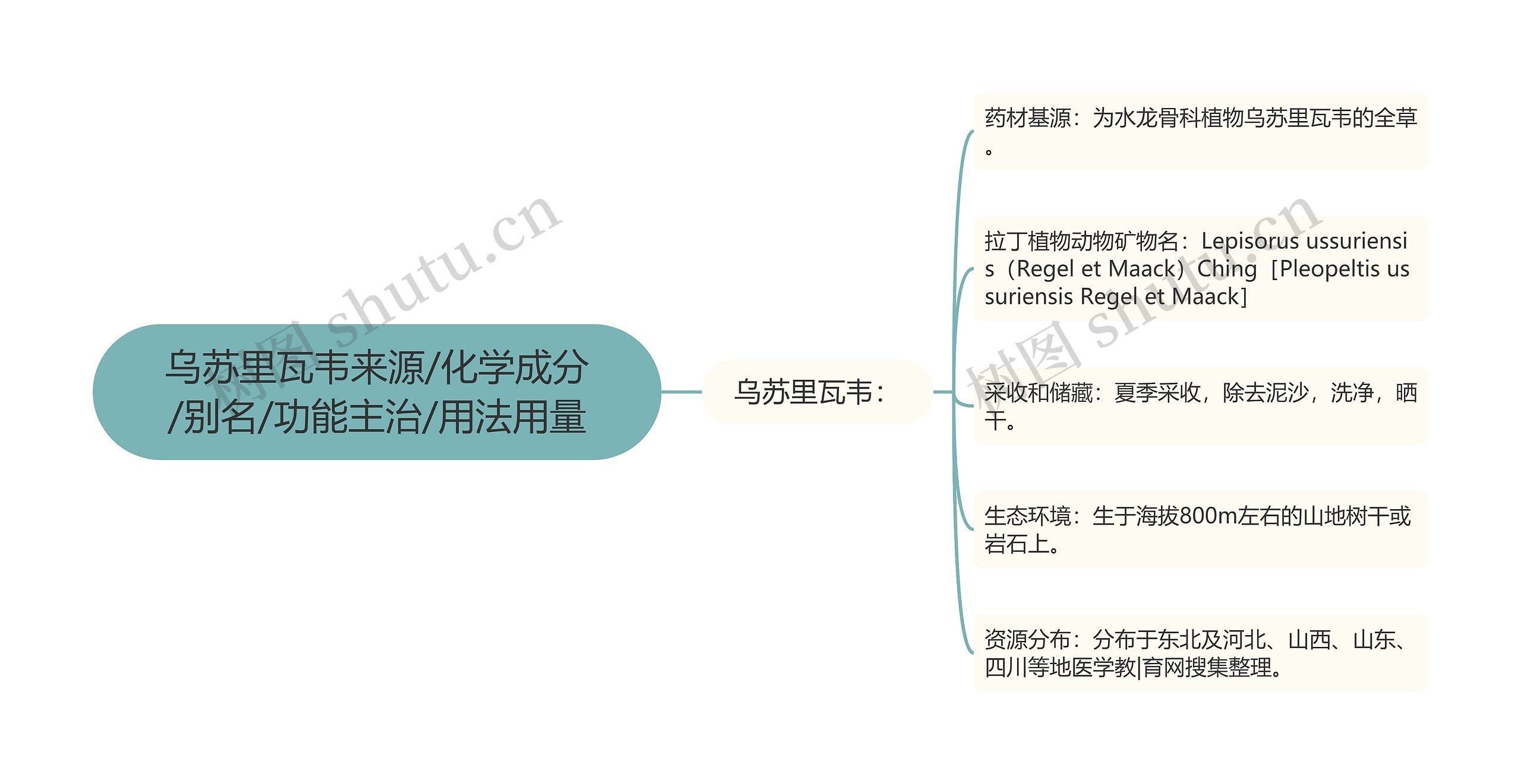 乌苏里瓦韦来源/化学成分/别名/功能主治/用法用量