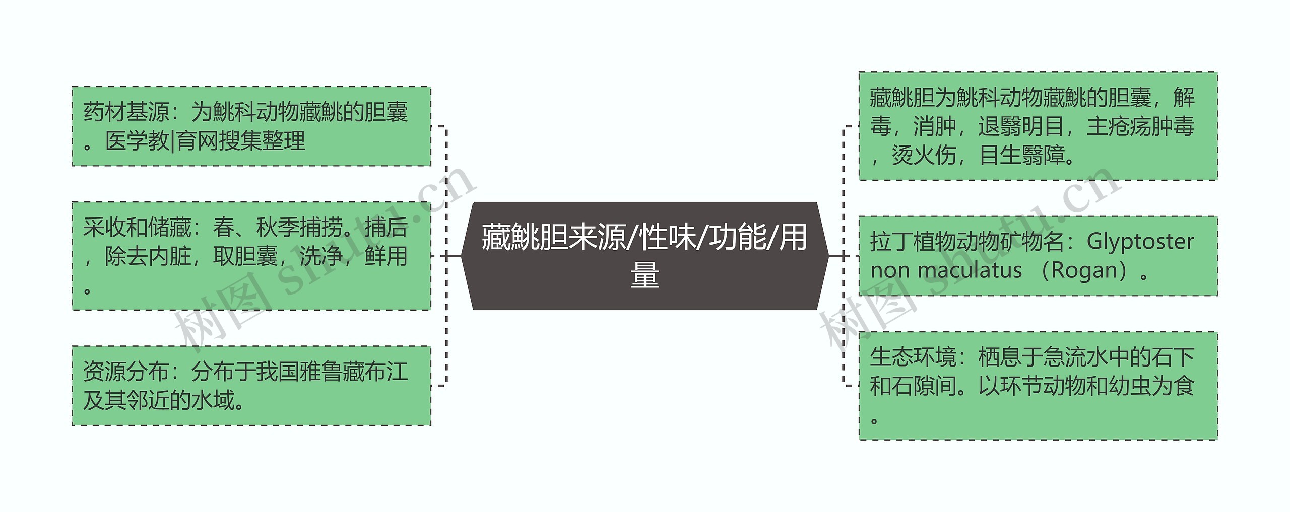 藏鮡胆来源/性味/功能/用量