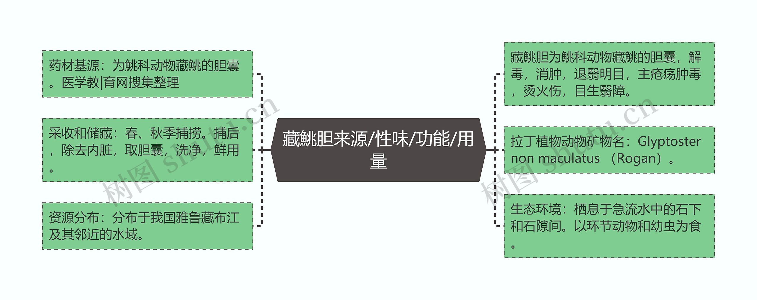 藏鮡胆来源/性味/功能/用量思维导图