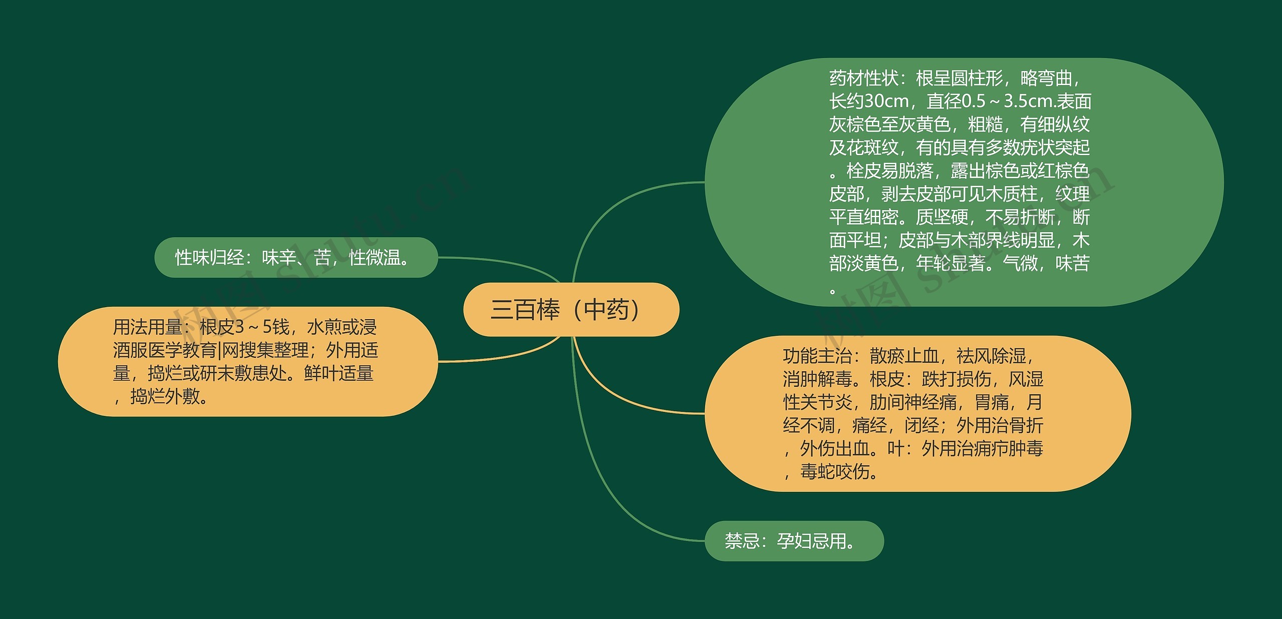 三百棒（中药）思维导图