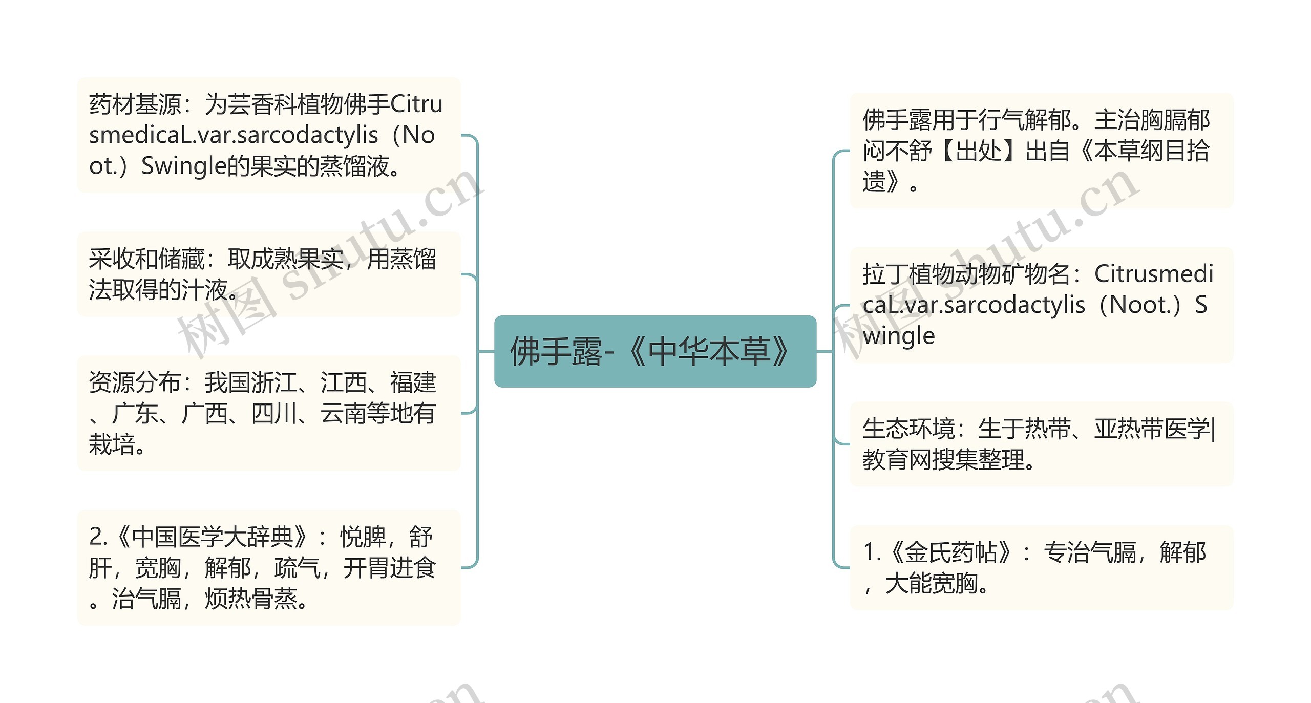 佛手露-《中华本草》思维导图