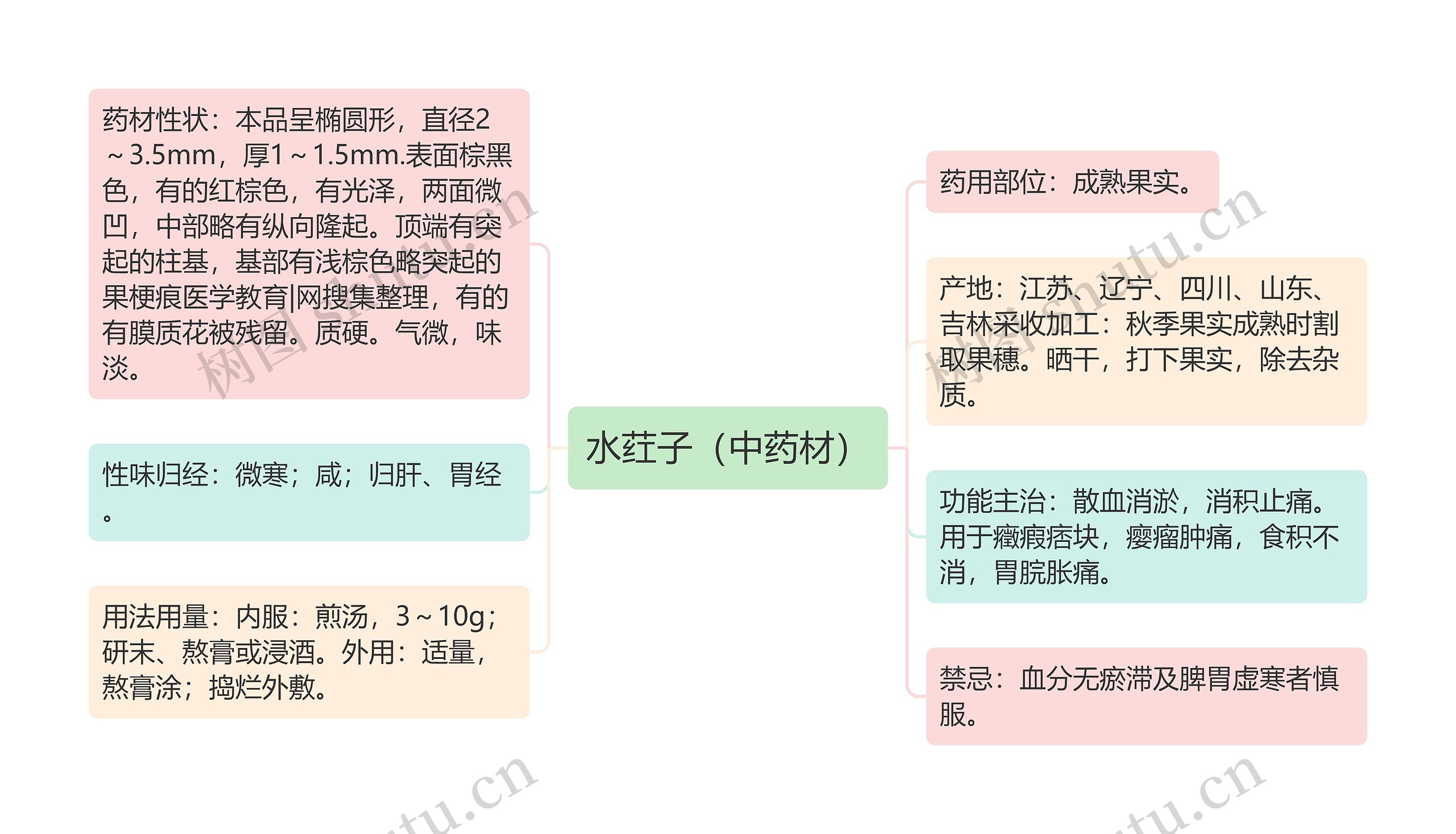 水荭子（中药材）思维导图