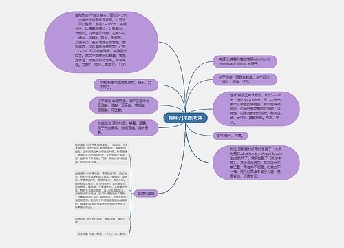 苘麻子|来源|功效