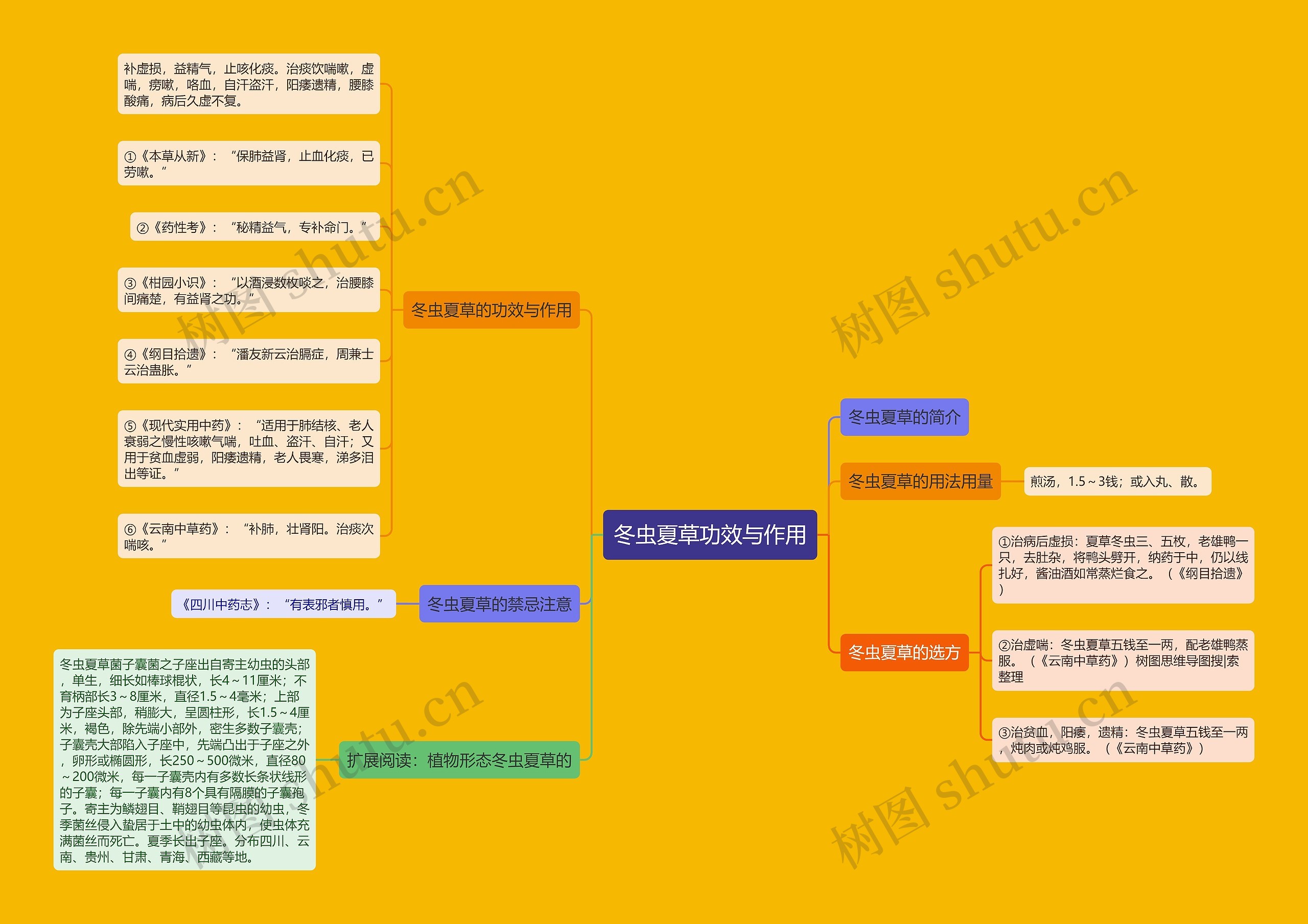 冬虫夏草功效与作用 冬虫夏草功效与作用