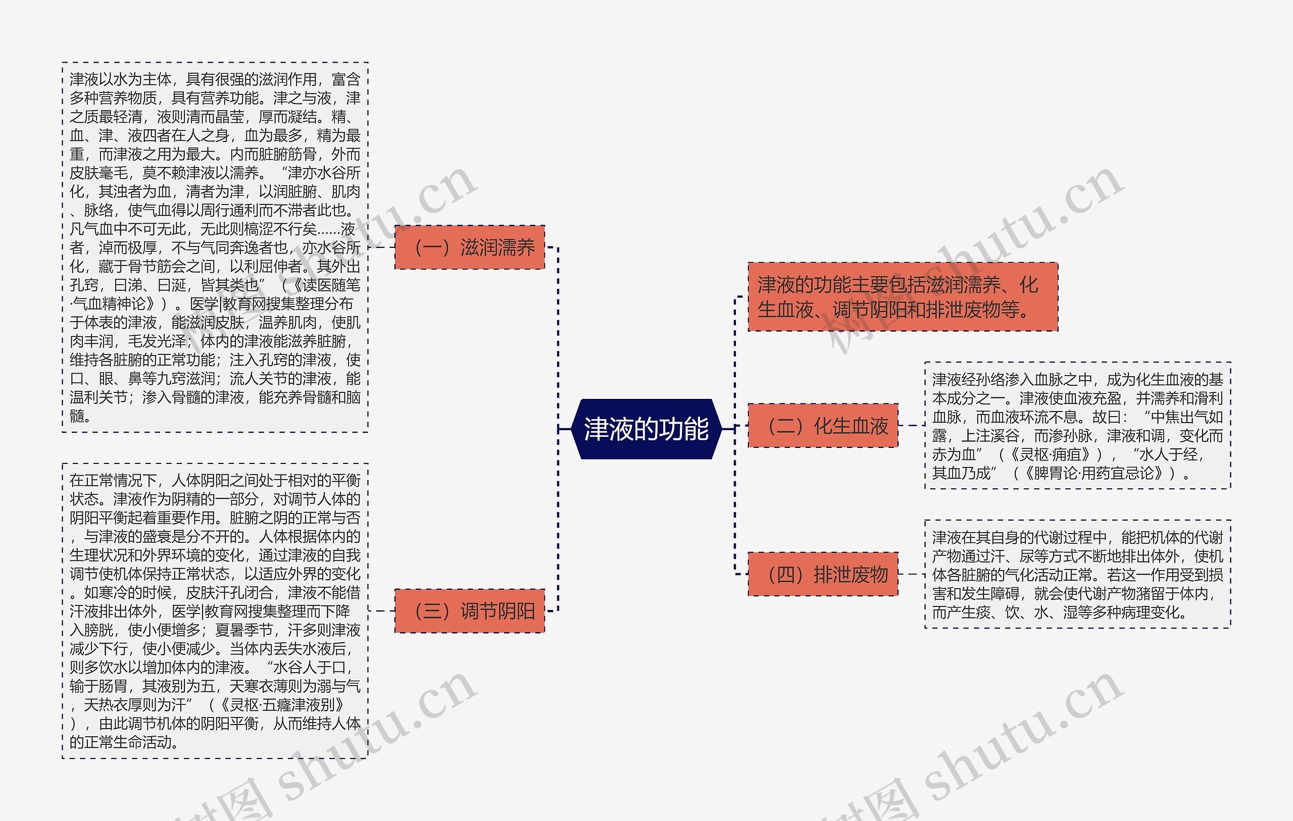 津液的功能思维导图