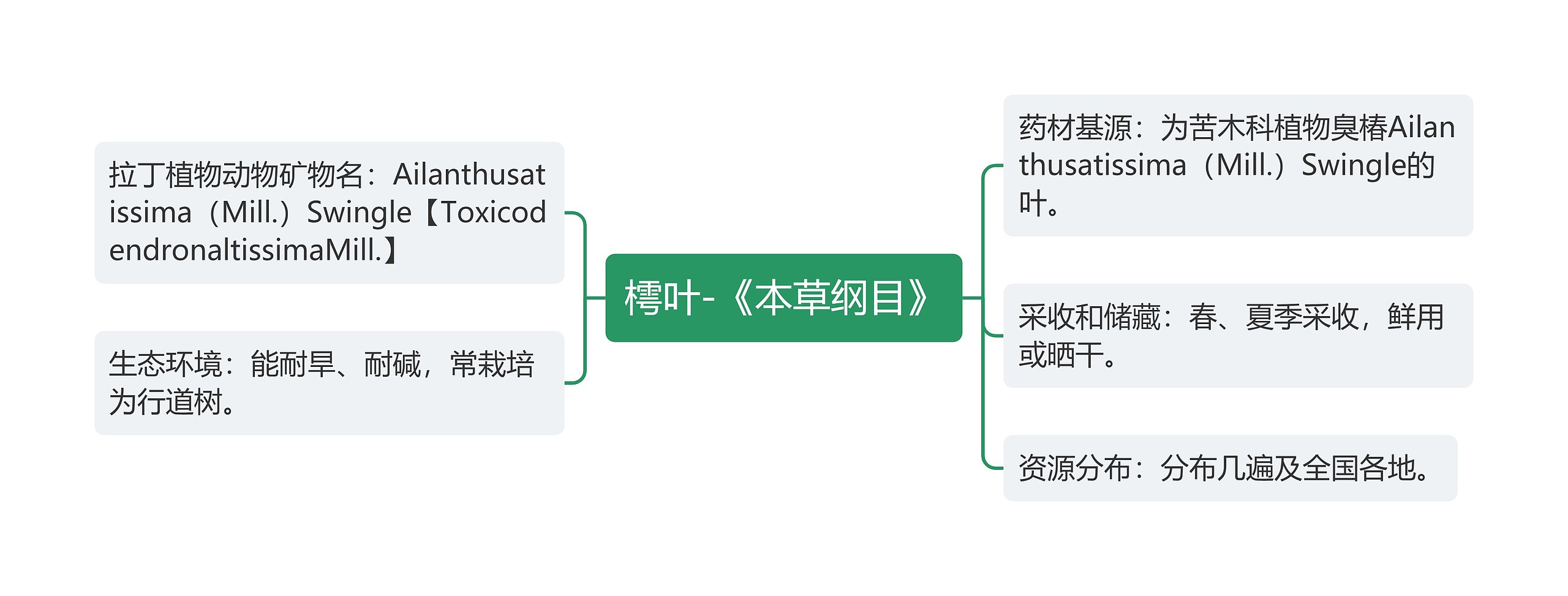 樗叶-《本草纲目》思维导图