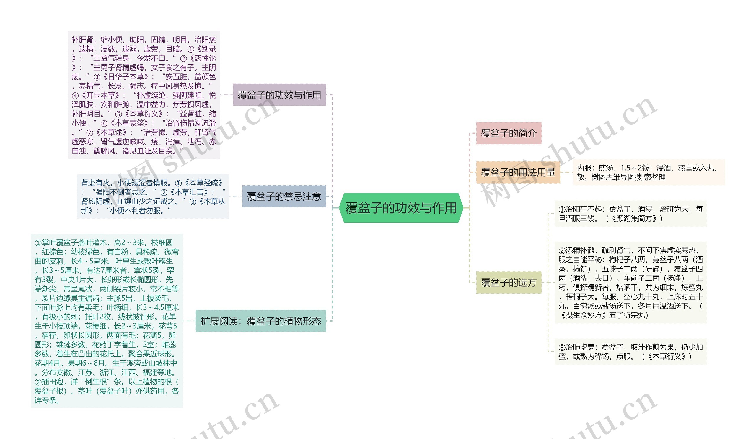 覆盆子的功效与作用